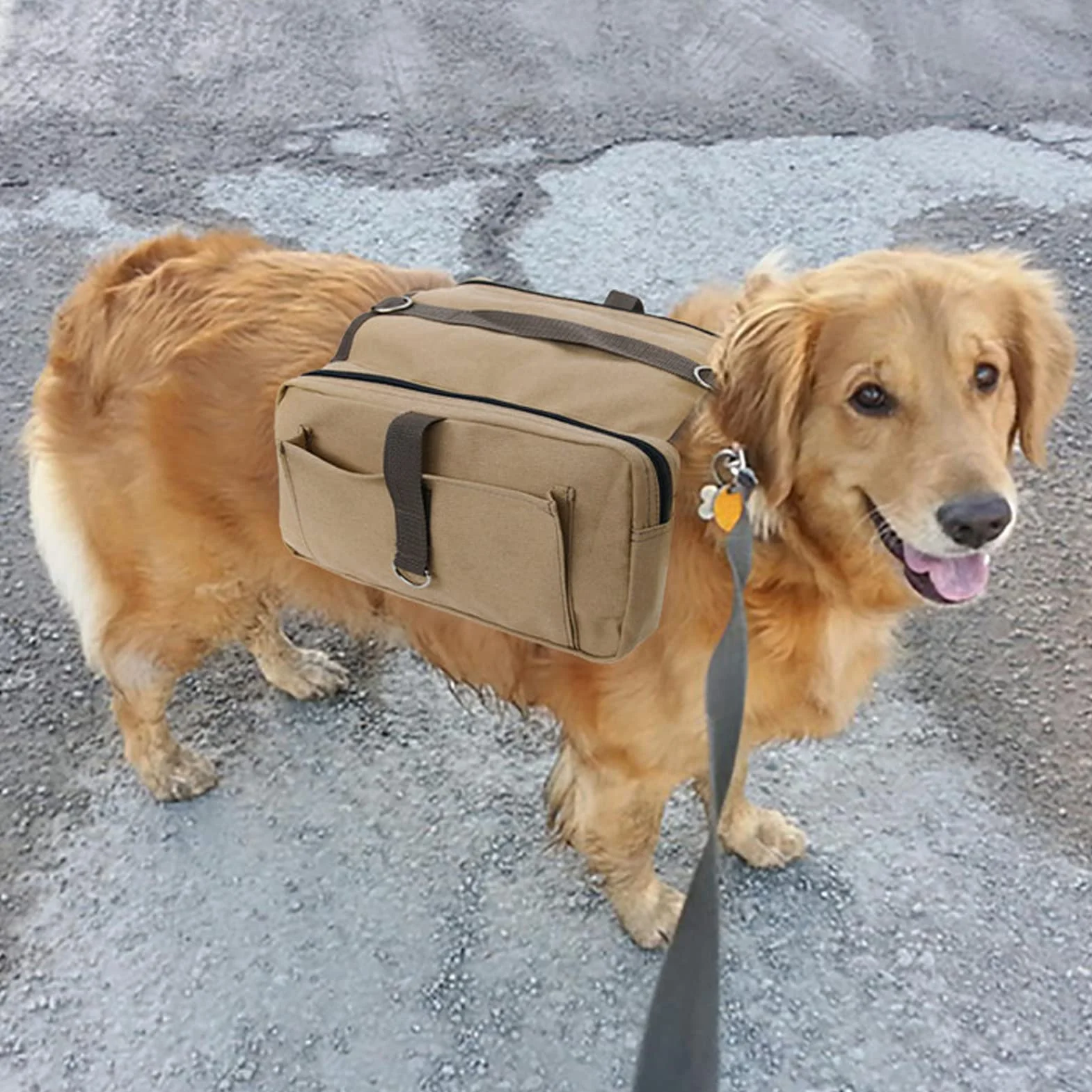 Imbracatura per Zaino per Cani, Borsa da Sella da Campeggio Leggera per Cani Zaino per Cani Zaino da Escursionismo da Campeggio Zaino da Sella per Viaggi Escursioni All'aperto