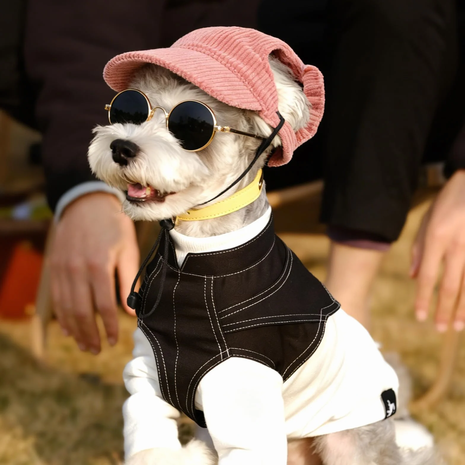 Berretto estivo con protezione solare per cani con occhiali per cani, cappello per cani, occhiali per cani di piccola taglia, costume per gatti, set di protezione UV per cuccioli e piccoli