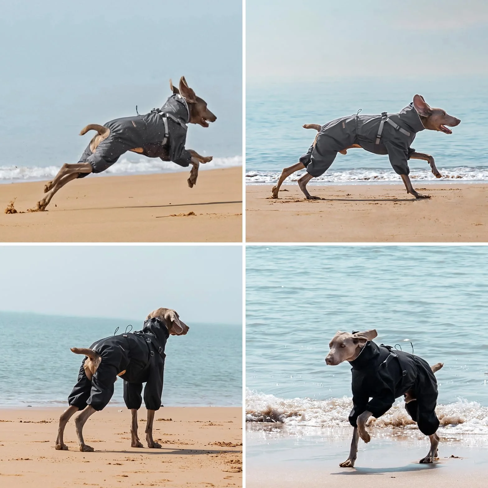 PAWBOSE Impermeabile per Cani con Imbracatura per Cani di Taglia Piccola, Media e Grande, Impermeabile Regolabile, Riflettenti, 4 Gambe, Bei Vestiti per Cani per l'estate, Grigio, 4XL