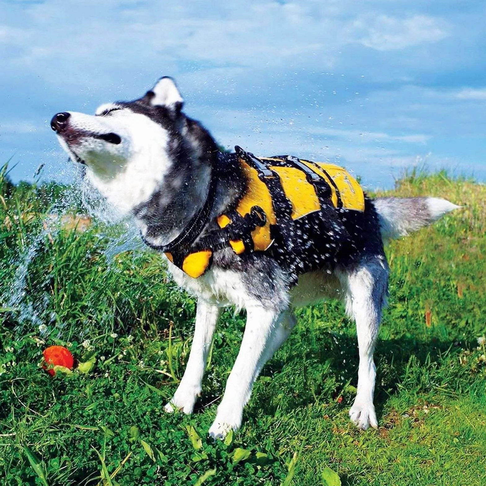 EzyDog Salvagente Cane Giubbotto di Salvataggio Regolabile per Cani Piccoli, Medi e Grandi Leggero Galleggiante con Maniglia (L, Rosso)
