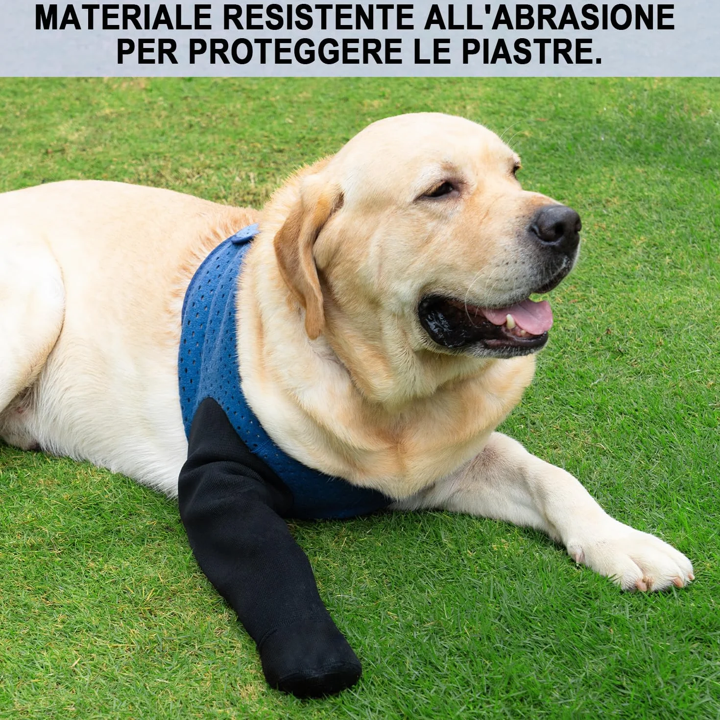 COODEO Calzini Protettivi per Cani Antileccatura, Copri Zampe Antiscivolo Impermeabili (Blu, 3XL Sinistra)