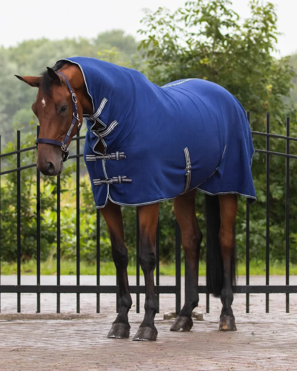 QHP coperta in pile per cavallo con parte per il collo e cinghie, blu
