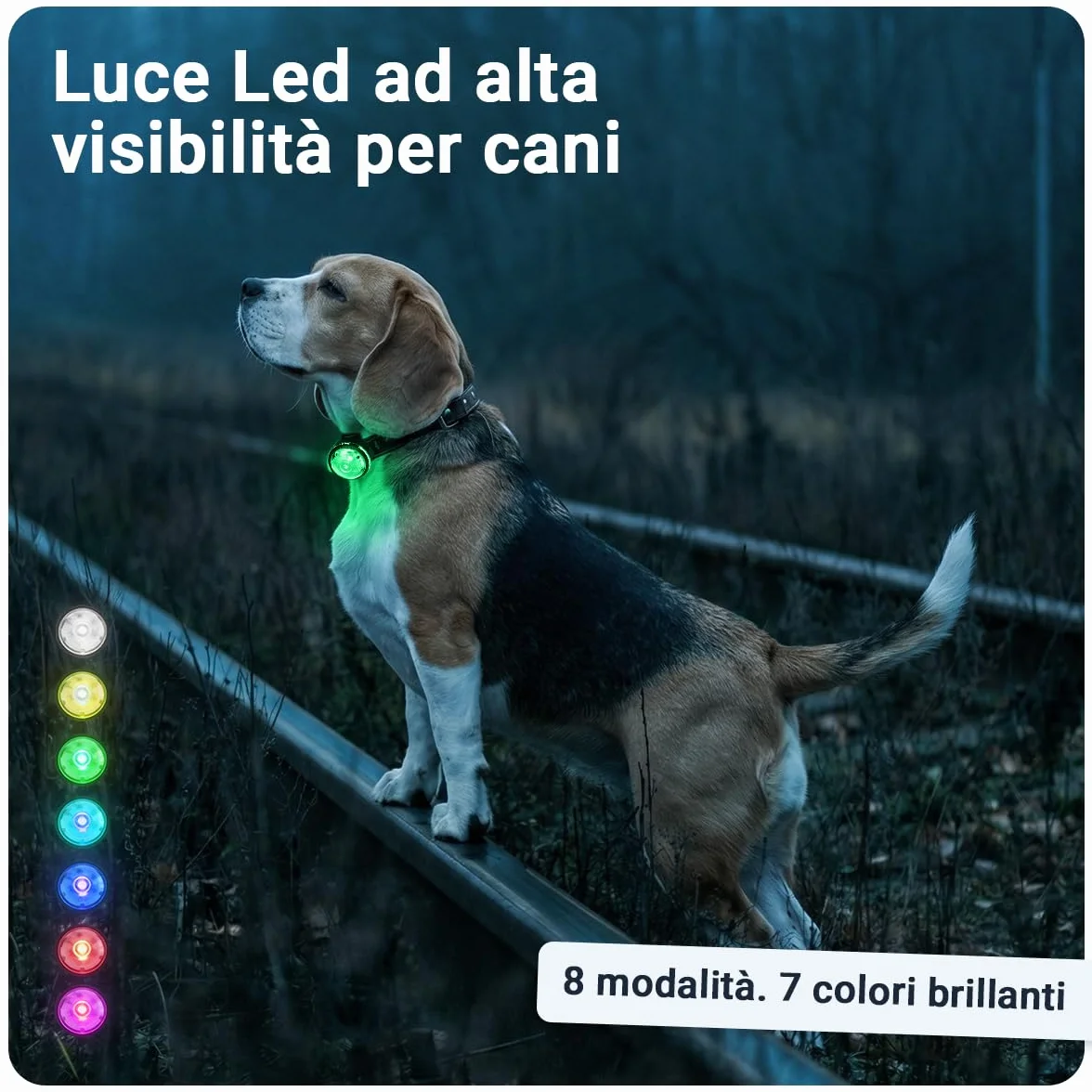 PAJ LIGHT MINI - LED Ultraluminoso per Collari e Pettorine - Cani Piccoli, Medi e Gatti - Regolazione Flessibile - 100% Impermeabile - 7 Colori - Sicurezza e Visibilità Notturna