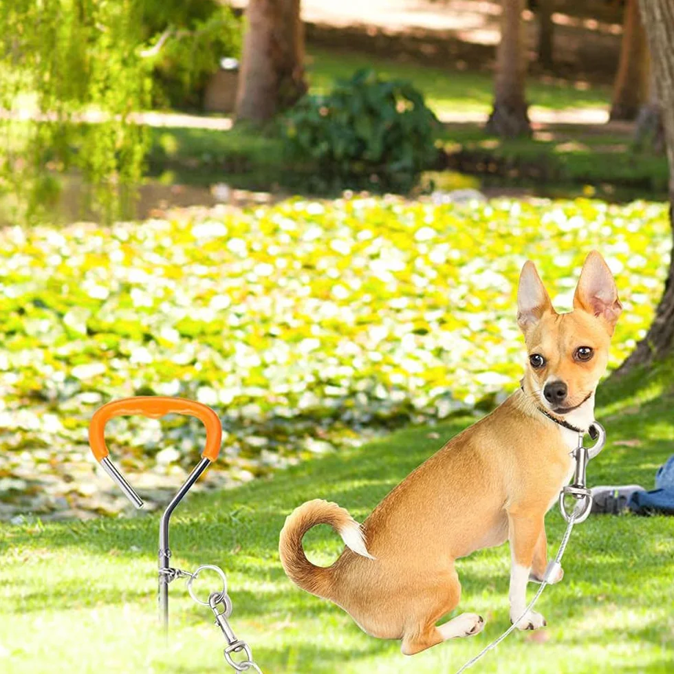 Cavo di collegamento per cani con ganci in metallo resistente, in acciaio inossidabile, copertura in PVC, per esterni, cortile, campeggio