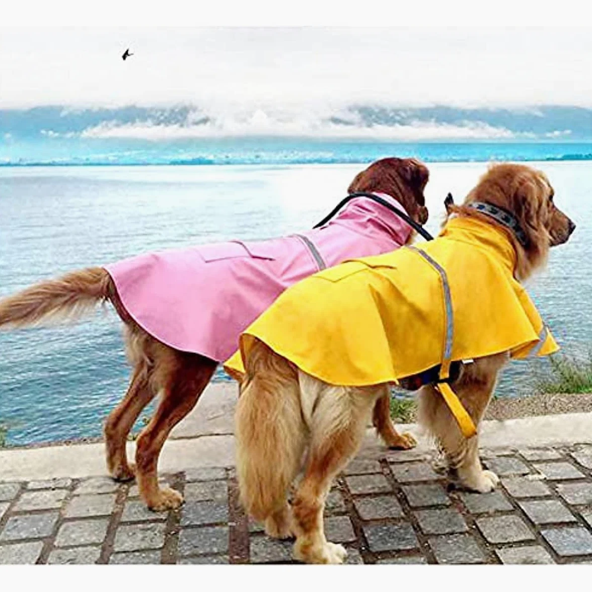 Mikayoo Impermeabile per cani di grandi dimensioni, regolabile per animali domestici, impermeabile, giacca leggera con cappuccio con striscia riflettente (rosa, L)