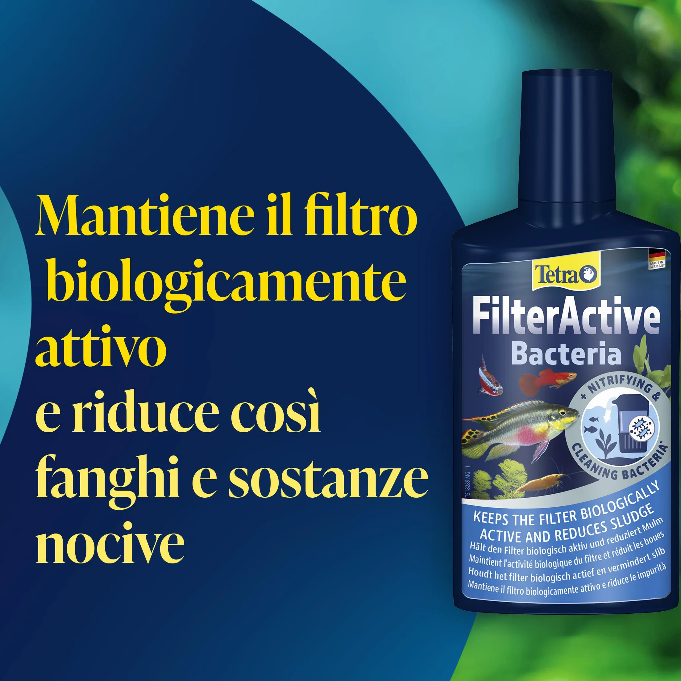 Tetra FilterActive 250 ml Batteri Vivi Attivano Filtro Riducono Accumulo Impurità Mantiene Biologicamente Attivo