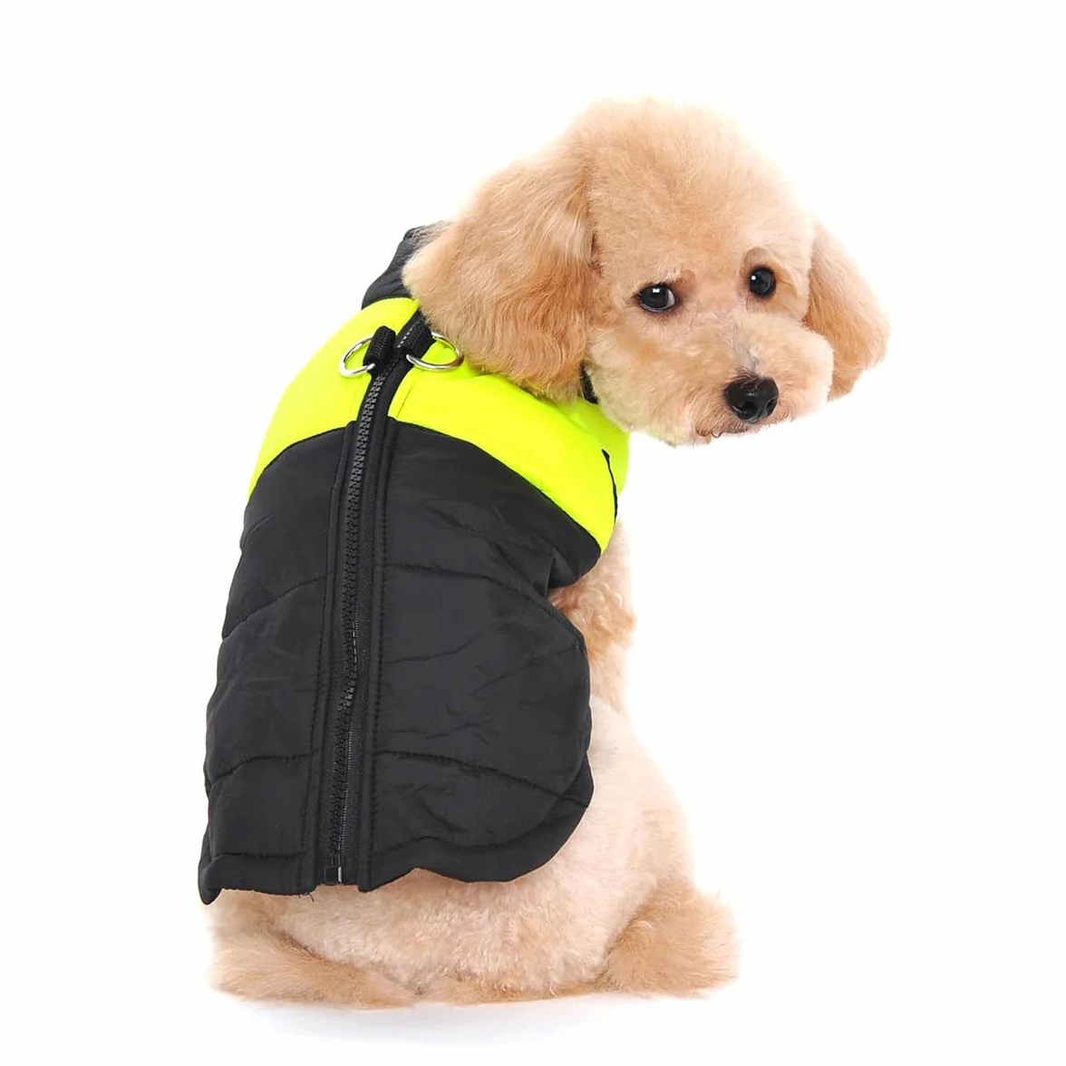 Animale Domestico Cane Cappotto Imbottito Giacca