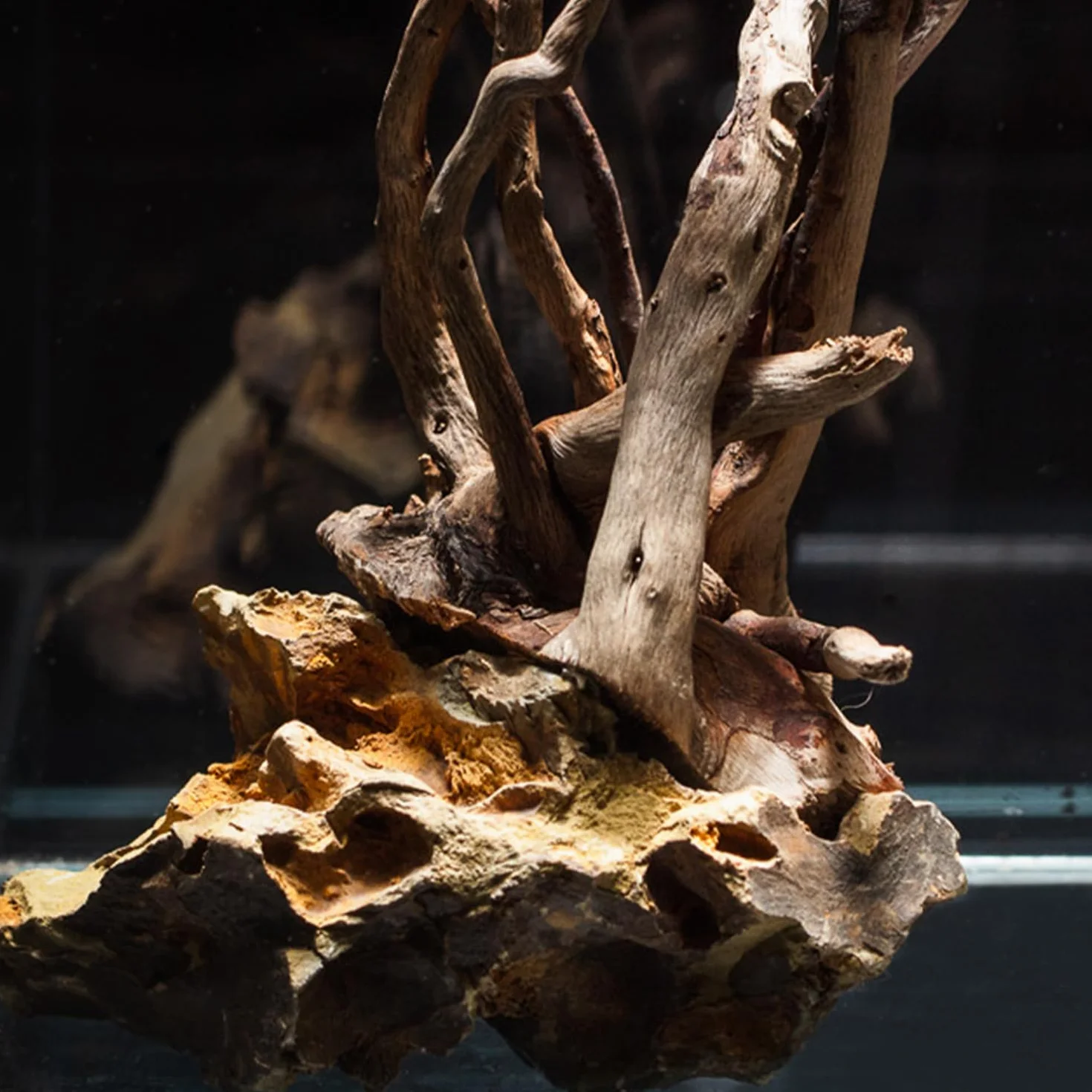 Dragon Stone Rocce Naturali per Acquario e Nano Garden - Mix Irregolare per Layout Selvatico e Naturale, Confezione da 500/700gr