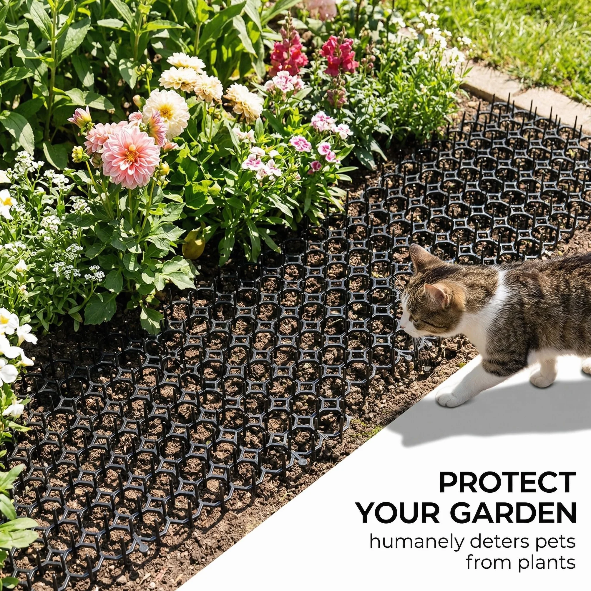 Tappetini Dissuasori Per Gatti (Set Da 6, 20X15Cm) - Repellente Con 6 Picchetti Di Fissaggio E 30 Fascette In Nylon- Griglia Con Punte Per Giardino, Divano - Barriera Interno/Esterno