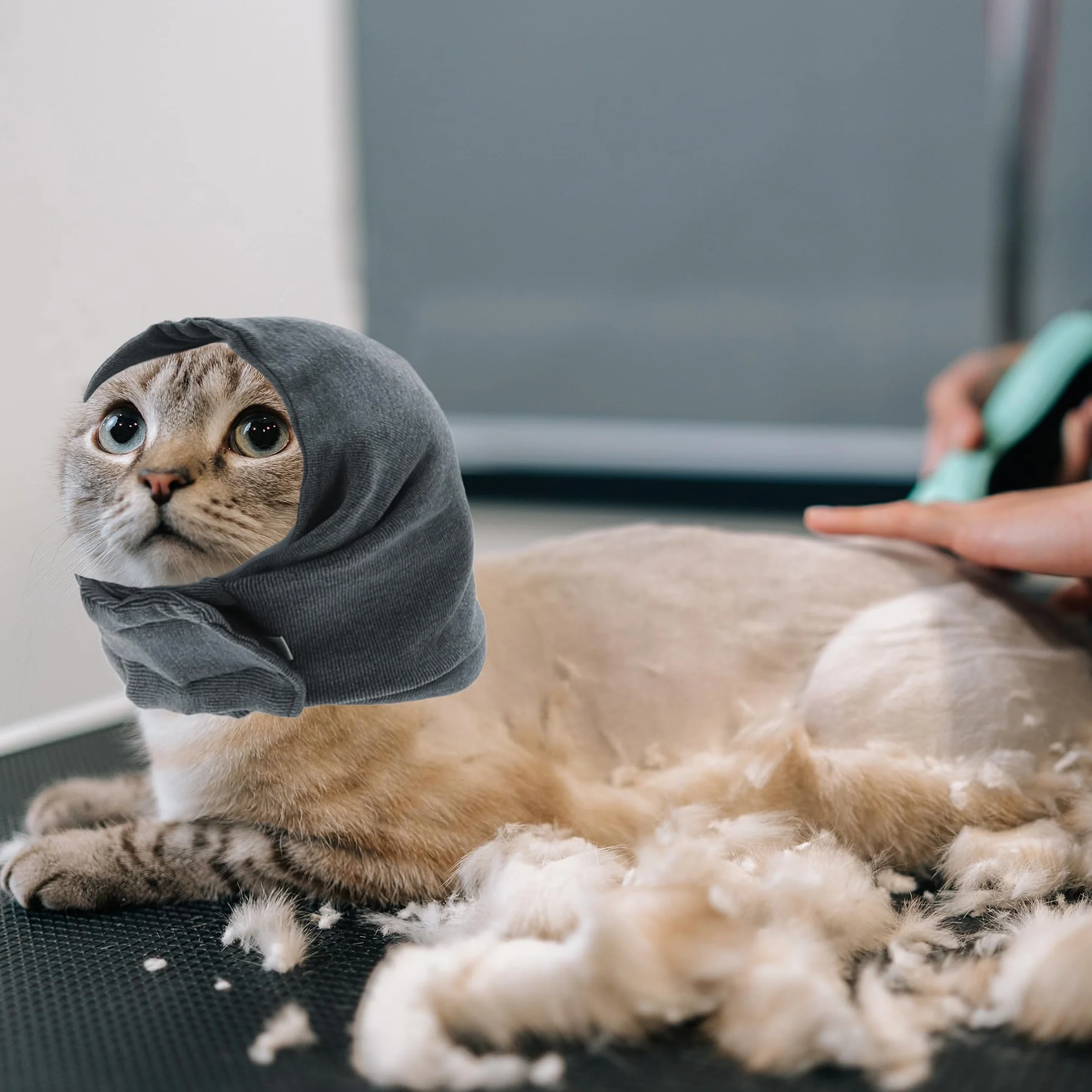 Cappuccio calmante per cani regolabile con nastri magici protezione orecchie toelettatura grigio