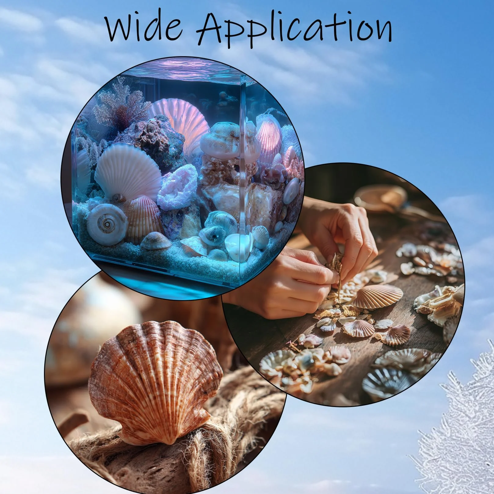 500g Conchiglie Decorative, Conchiglie Marine Naturali da 2-8 cm, Conchiglia per Decorazioni Mare Oceano Artigianato fai da te Acquari Feste a Tema Spiaggia Matrimoniali DIY