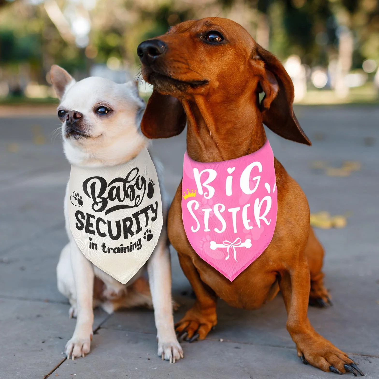 Fazzoletti da collo per cani piccola media grande taglia, set 2, rosa beige