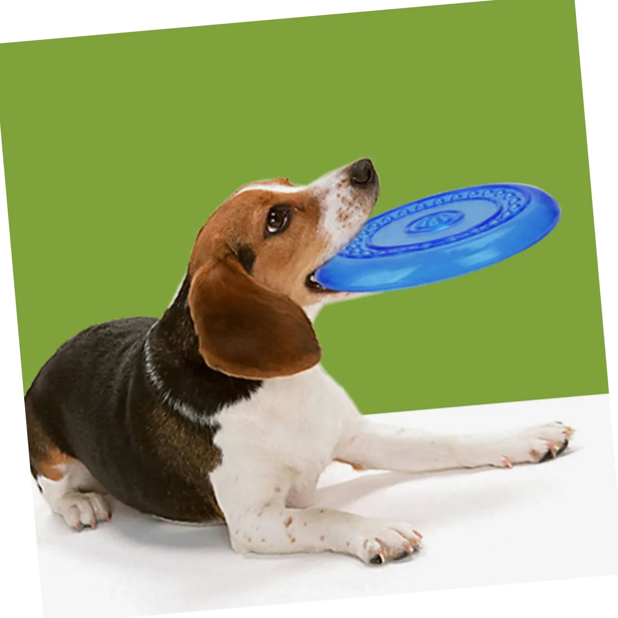 Didiseaon Giocattolo per Cani a Disco da Lancio 2pezzi Tpr Blu | Set da 2, Forma Disco, Adatto a Pet e Cuccioli, Morbidezza Elevata, Uso All'aperto