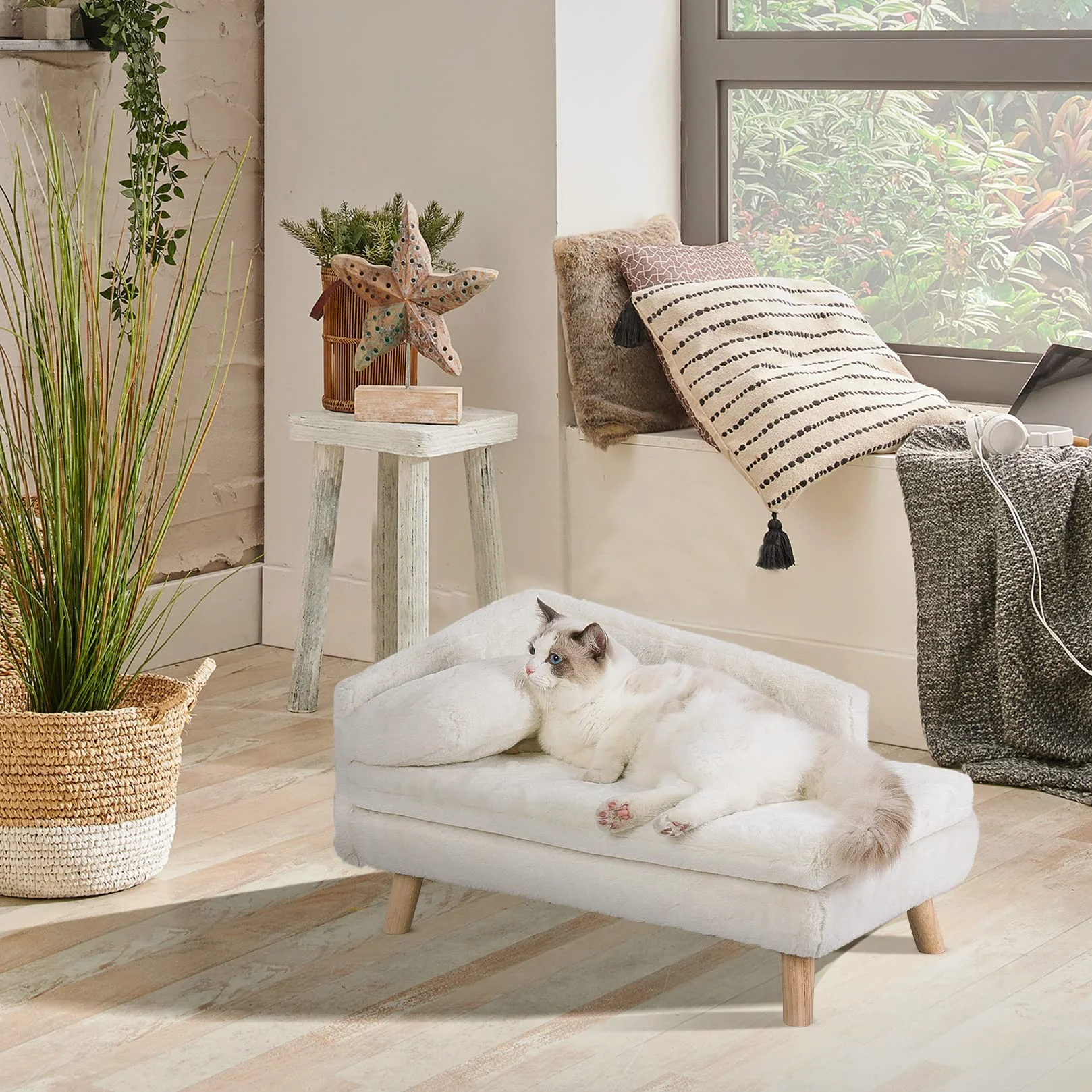 BingoPaw Divanetto per Cani e Gatti: Divano Letto Rialzato per Gatto Cani Inferiore a 25 kg Cuccia per Gatti da Interno con Cuscino Morbito Grande Cucce per Gatti da Interno, 80,5x48x23,5cm