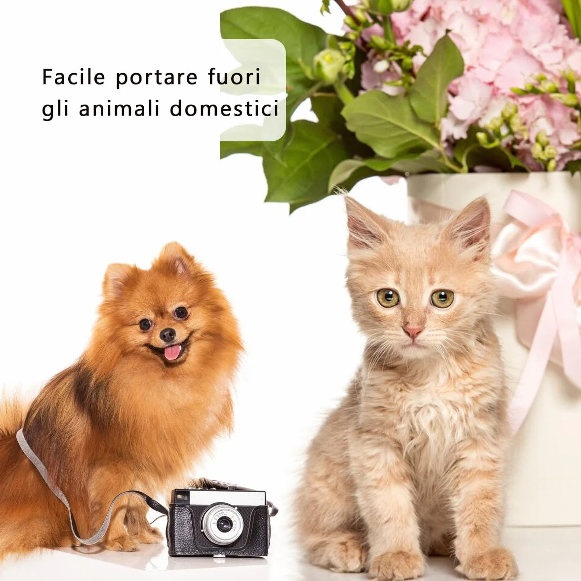 Borsa da Viaggio per Cani Trasportino Fino a 7.5 KG Blu scuro