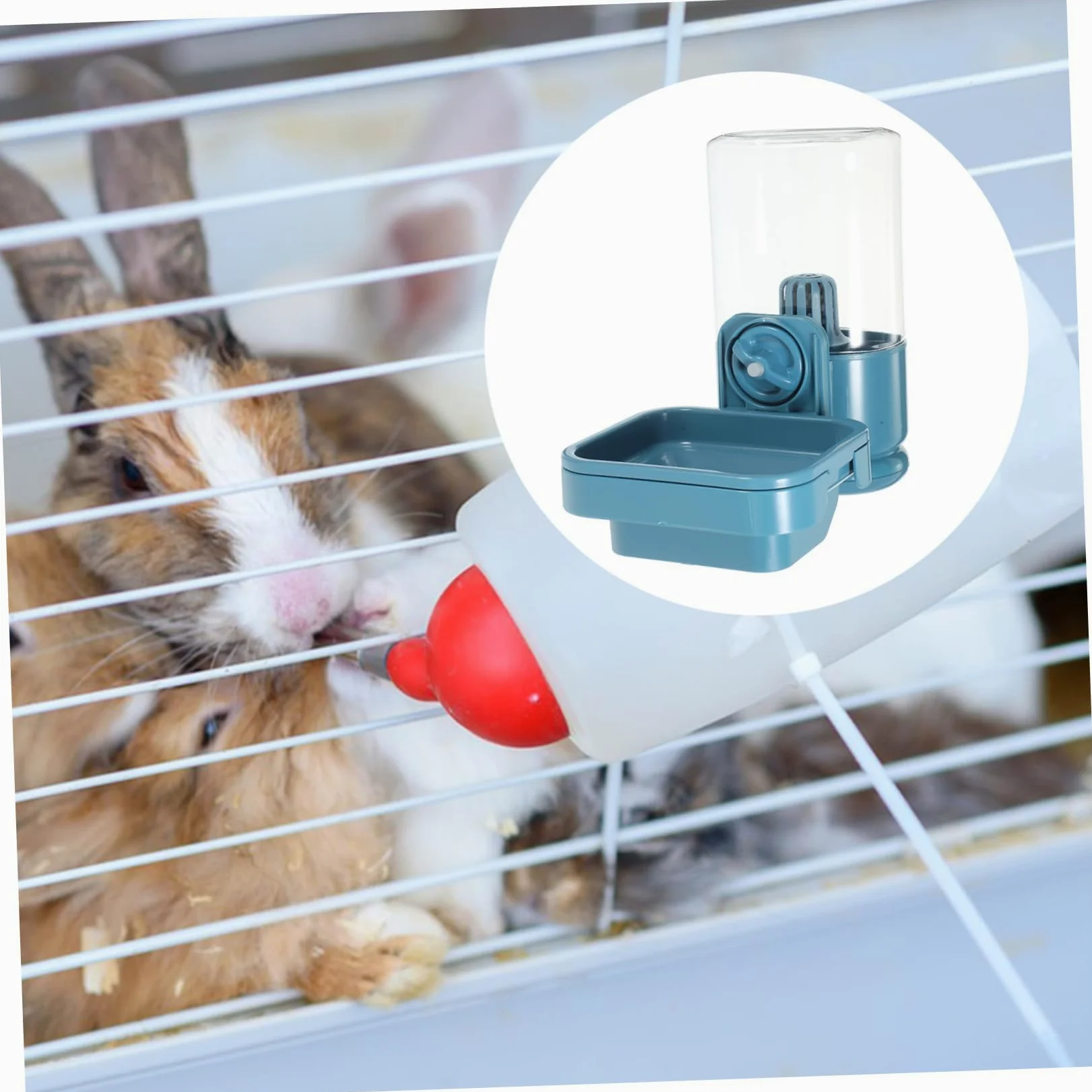BESTonZON Distributore Acqua per Conigli Mangiatoia per Animali Domestici Piccoli Dispenser Acqua Appeso alla Gabbia Accessorio per Conigli Facile Accesso