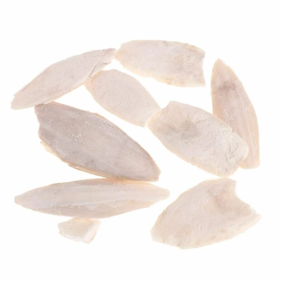 Naturali Osso di Seppia Pappagalli Giocattoli Masticazione Uccelli Gabbia Rettili Tartarughe Lumache