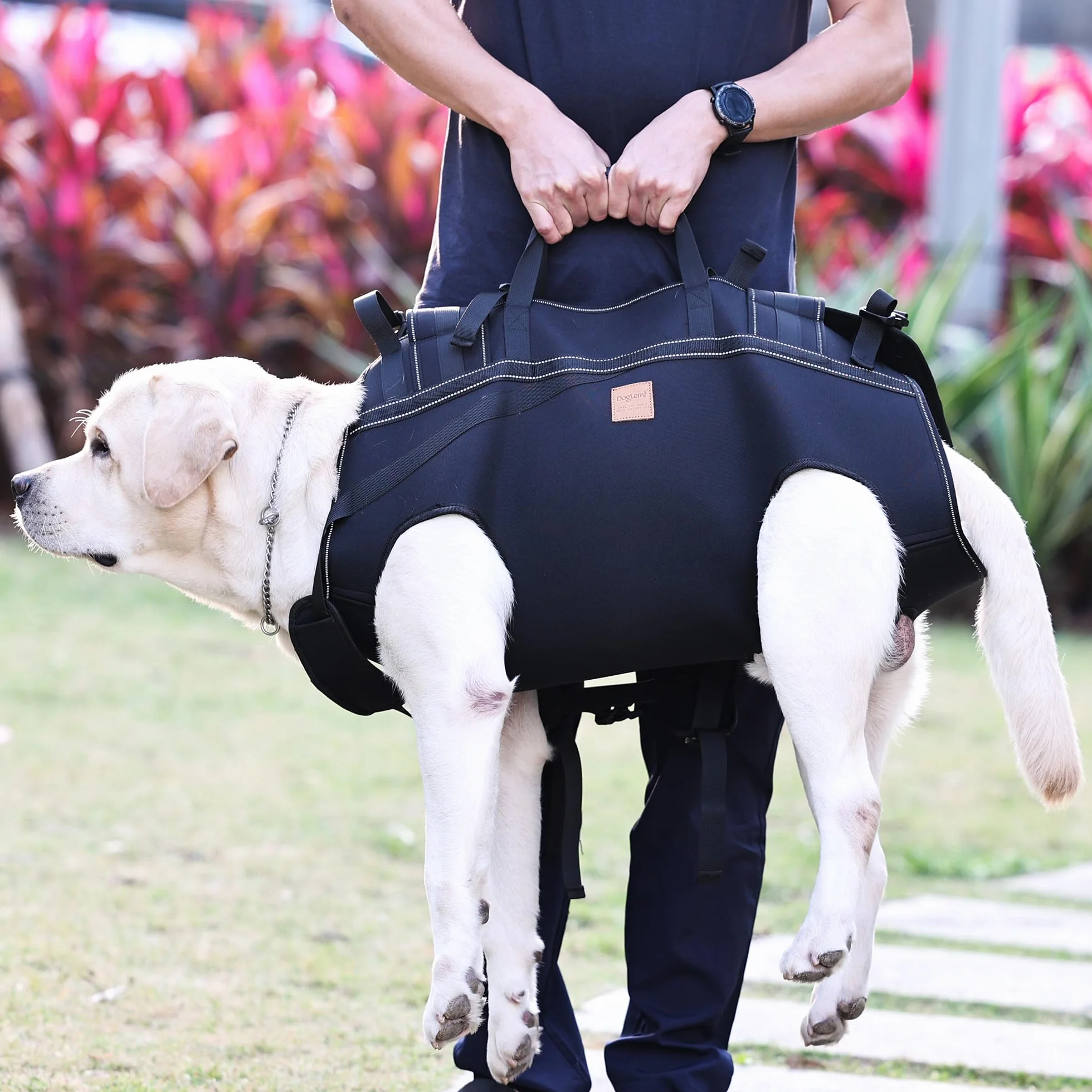 Imbracatura da trasporto per cani di grandi dimensioni, zaino per cani anziani, per lesioni articolari, artrite, scale su e giù, passeggiate paralisi, XXXL per cani da 29,9 a 37,6 kg