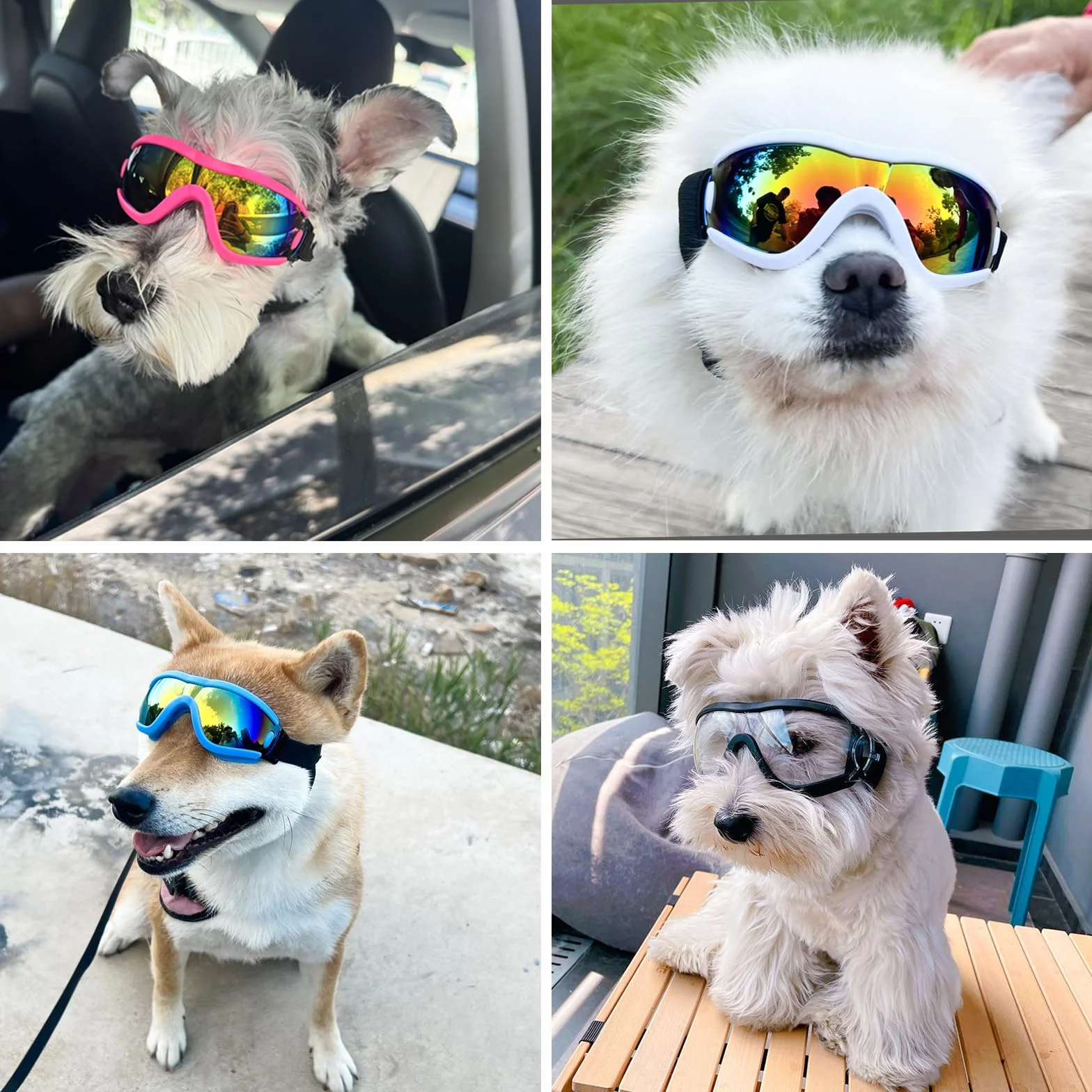 Occhiali da sole per cani di piccola taglia con protezione UV, regolabili, per cagnolini, cuccioli, anti-appannamento, vento, polvere e neve (montatura nera, lenti trasparenti)