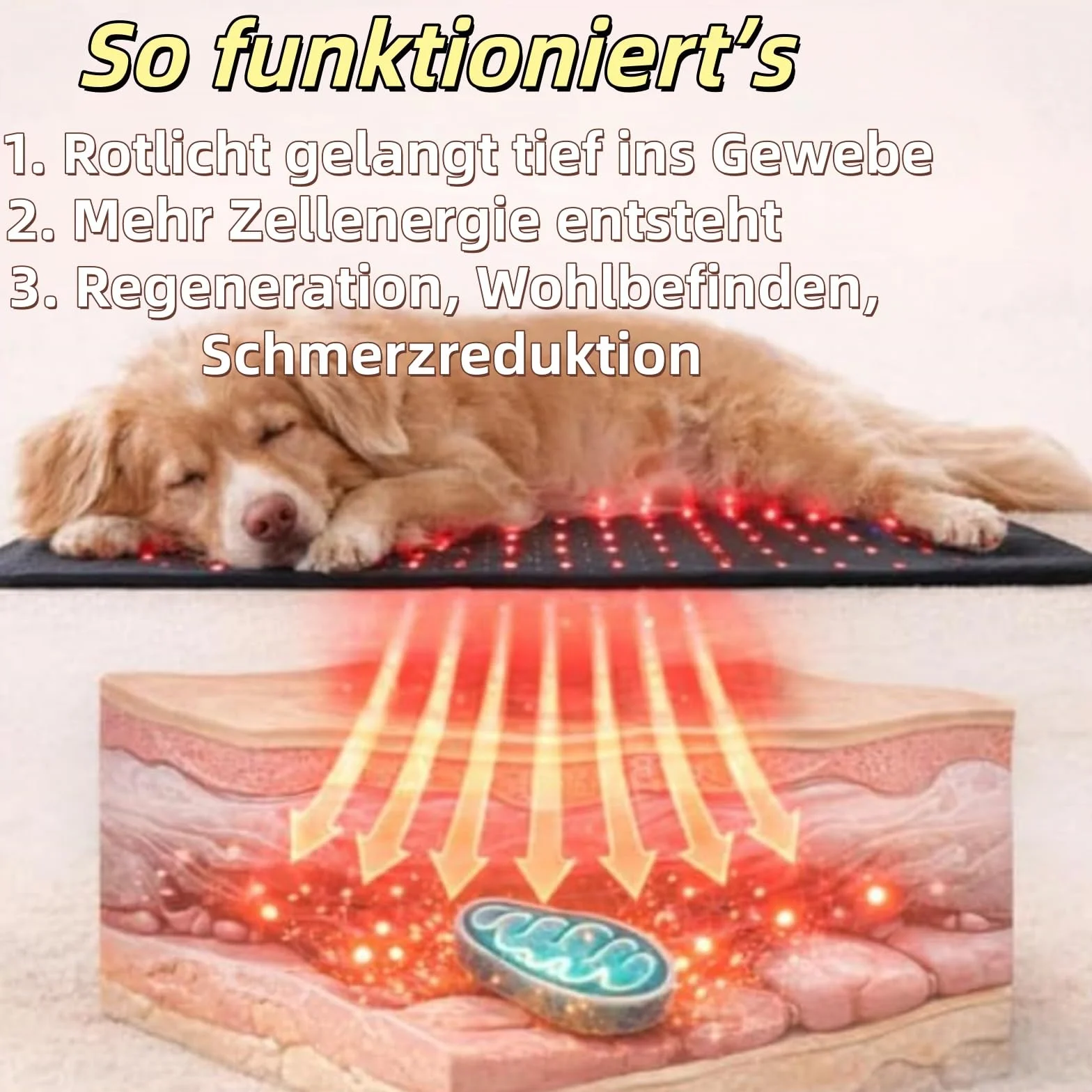 FellStern - Tappetino terapia a luce rossa per cani e gatti, 660 nm e 840 nm per terapia con luce rossa a infrarossi, supporto per dolori e articolazioni, terapia termica sicura, facile da