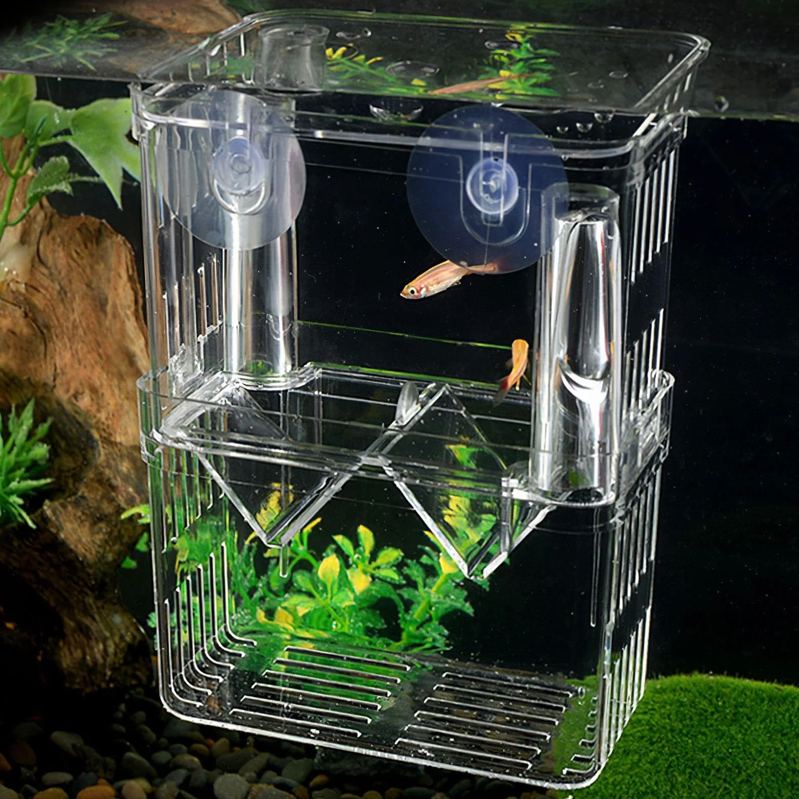 2 Pezzi di Serbatoio di Plastica Trasparente, Scatola da Cova di Pesce, Forniture per Animali Domestici, Scatola da Alimentazione dei Pesci.