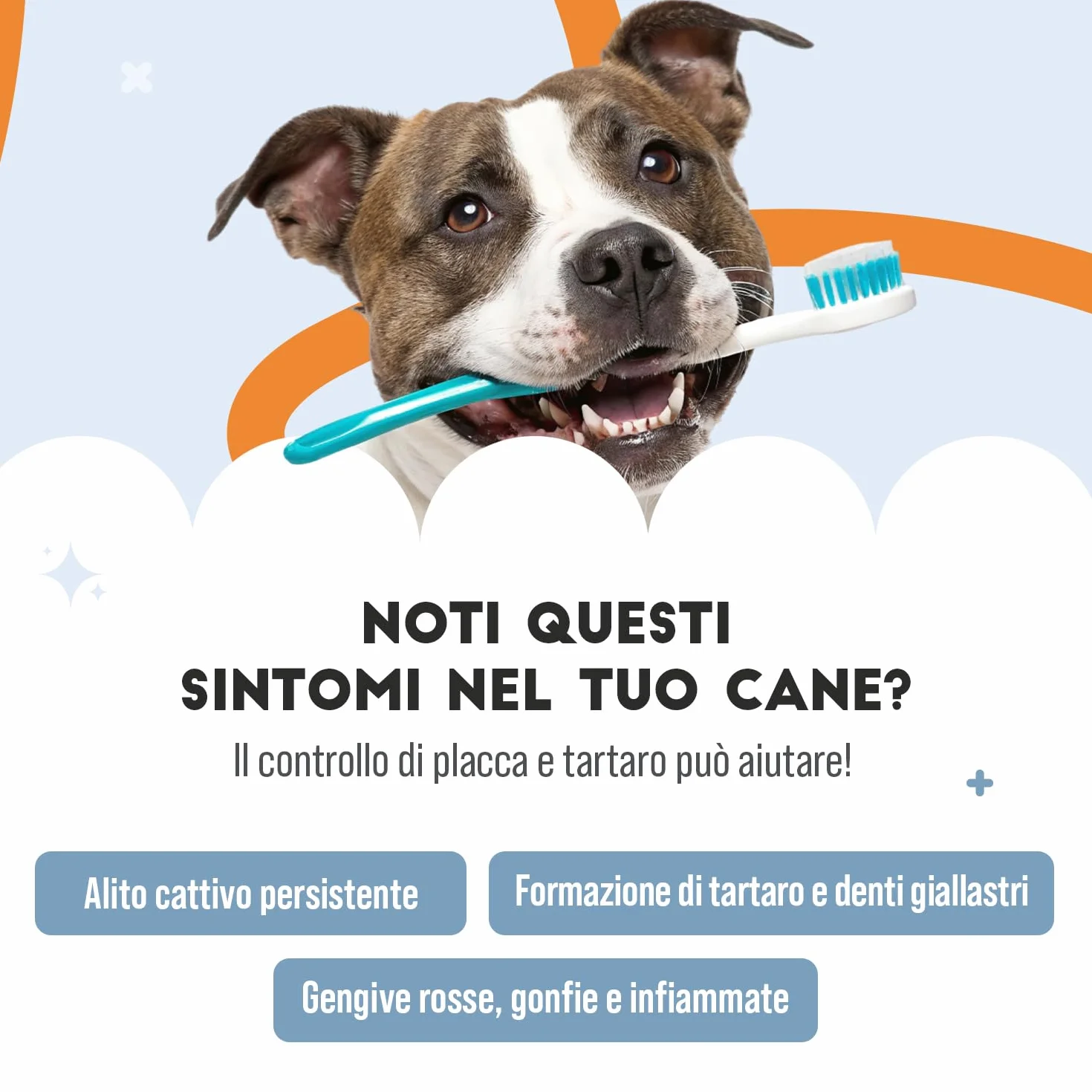 Pulizia Denti Cane in Polvere, Rimuovi Tartaro Denti, con Ascophyllum Nodosum e Pappa Reale, per Alito Cattivo e Igiene Orale, 150gr per Supporto alle Gengive e Alito Fresco