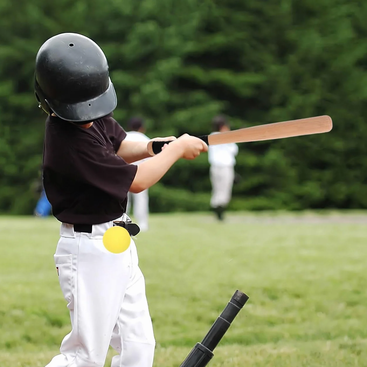 Mazza da baseball in legno massiccio 54 cm VANZACK per bambini adolescenti adulti allenamento competizioni