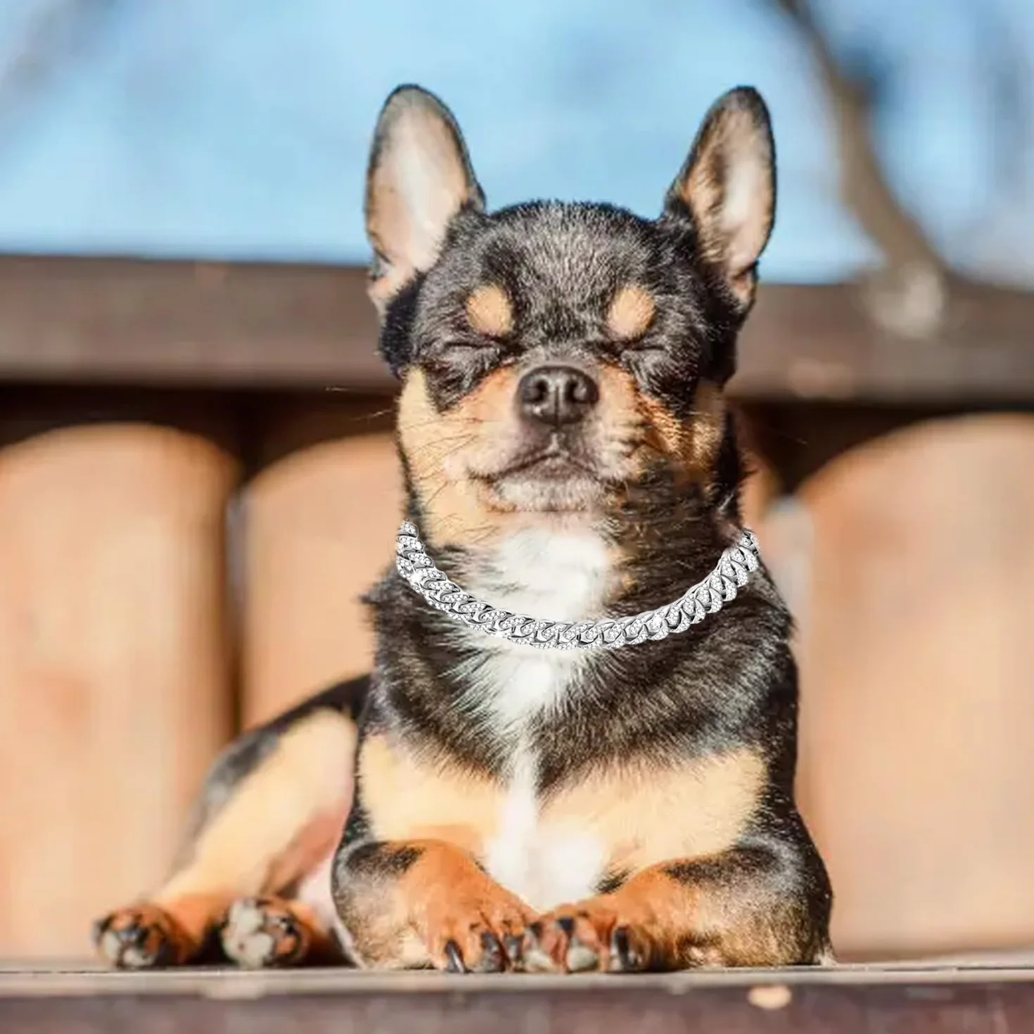 Collana con Catena Cubana in Zircone da 8 Pollici per Cuccioli, Collare con Diamante per Cane