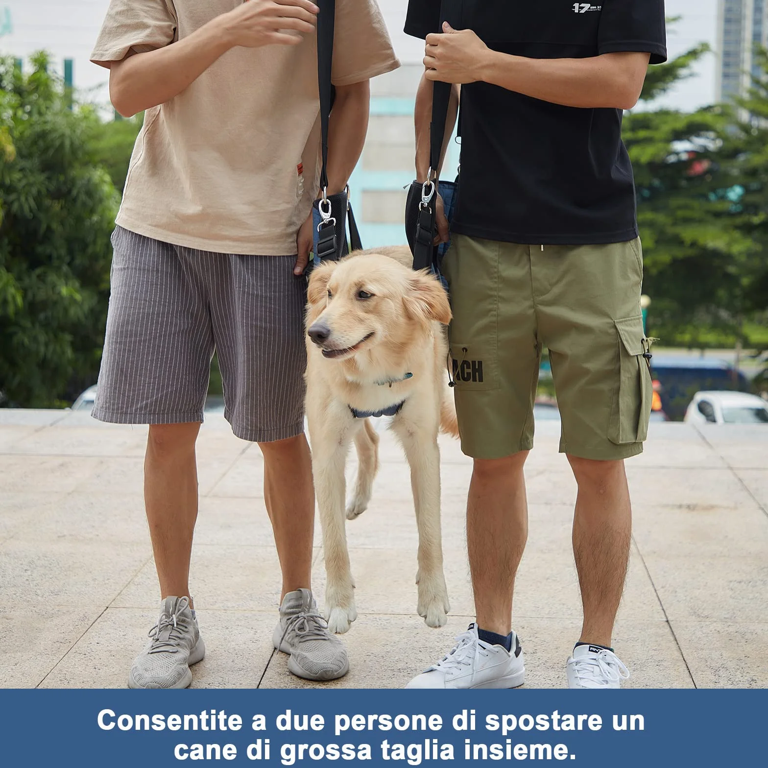 COODEO Dog Carry Sling, Pet Gambe Supporto Dog Lift Harness, Cane Carrier per Cani Artrite XL blu