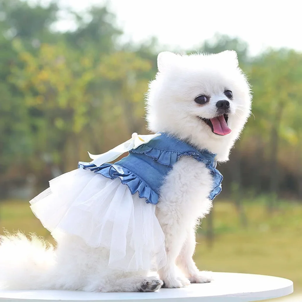 XIAOYU abiti per cani pet bowknot gonna principessa estate gilet per cani denin camicie prendisole dolce abiti da festa di nozze abiti per animali domestici abbigliamento, bianco, M