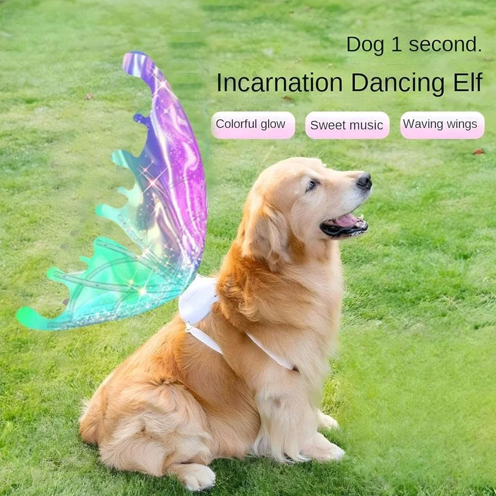 Ali di farfalla a LED per cani, ali incandescenti con luci a LED e musica, elfo con musica per bambini, ali luminose