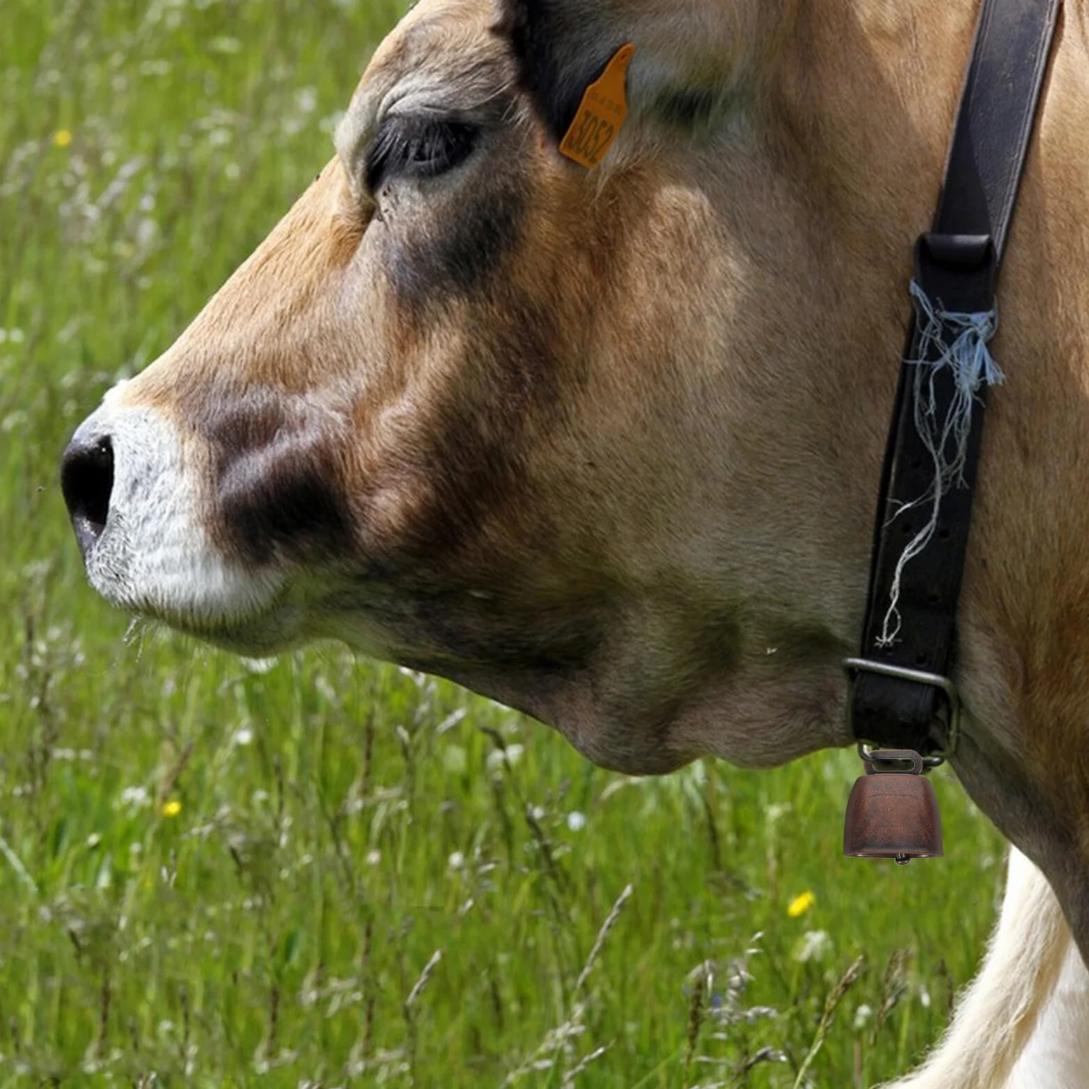 16 Pezzi Campanelli Rustici in Metallo per Animali da Fattoria, Campanaccio di Mucca Antifurto Rosso Scuro 35mm, Ciondolo Leggero Suono Nitido per Bovini, Pecore e Cani all’Aperto