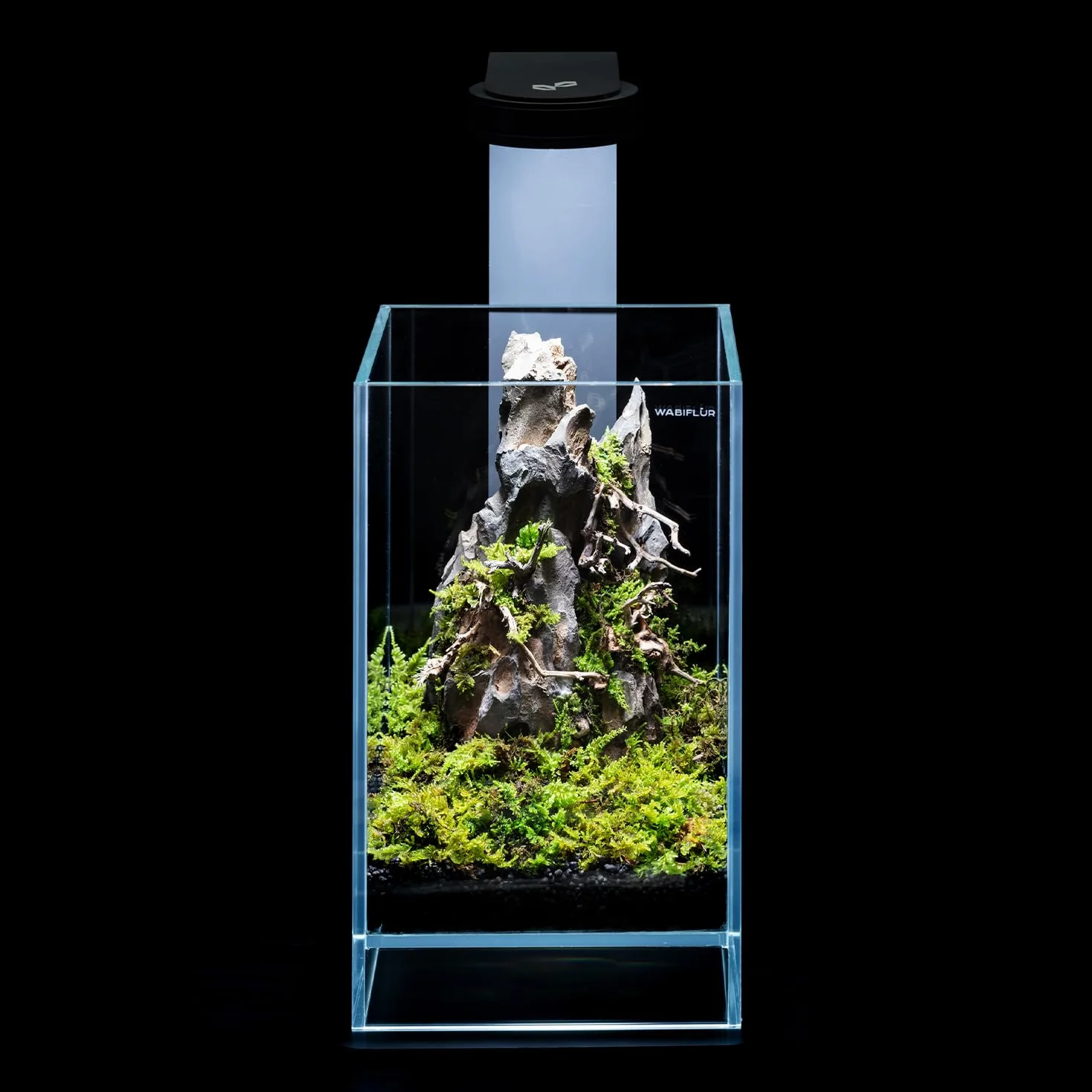 Dragon Stone Rocce Naturali per Acquario e Nano Garden - Mix Irregolare per Layout Selvatico e Naturale, Confezione da 500/700gr