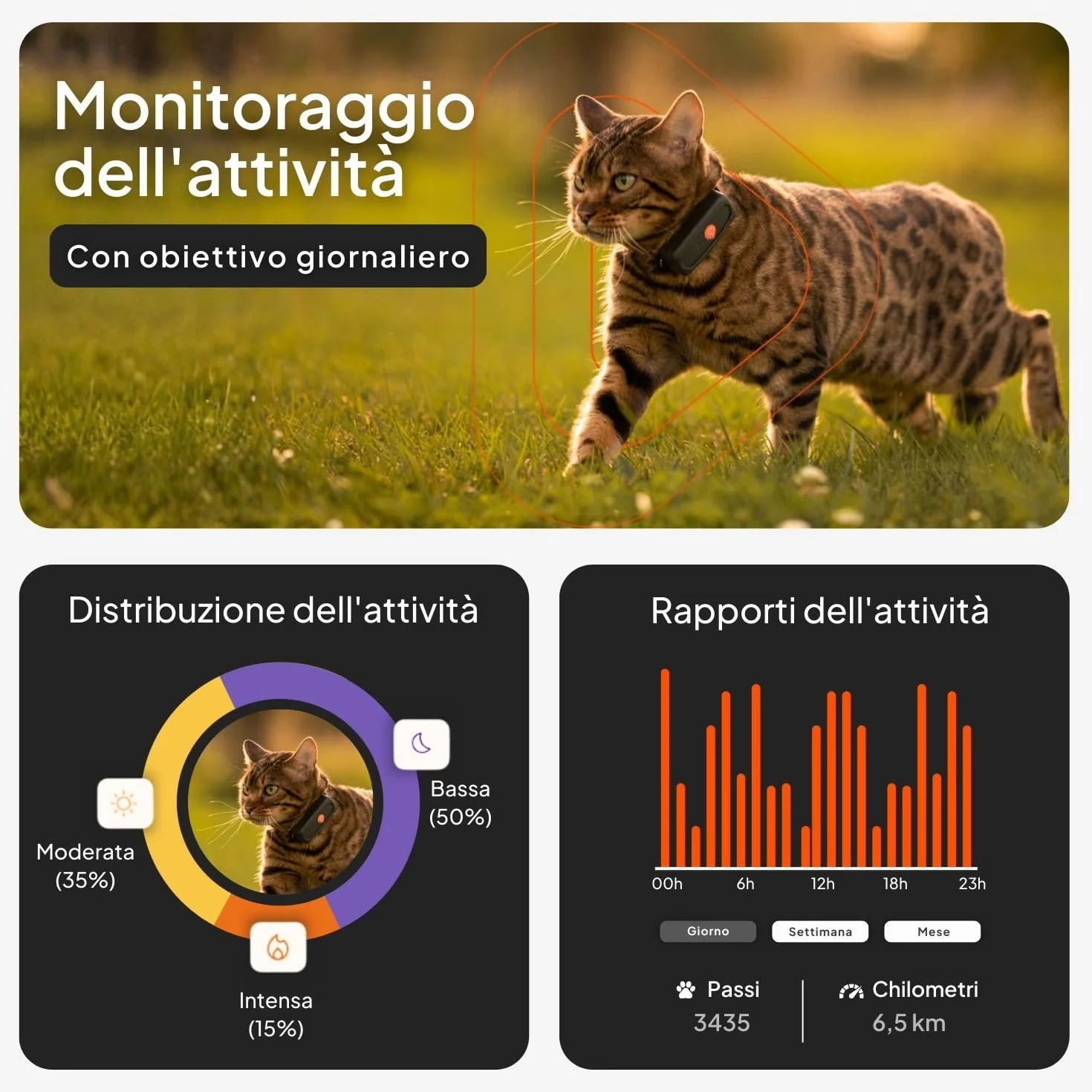 Weenect Cat XS - NUOVO collare GPS per gatti | Il più piccolo sul mercato | Funziona con abbonamento | Collare incluso | Garanzia a vita