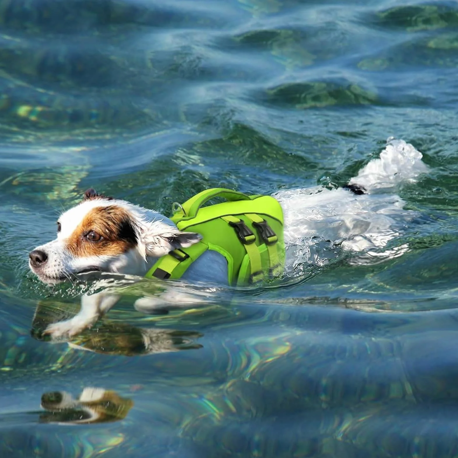 Qeenmore Giubbotto Salvagente Cane Taglia Piccola S Verde Ripstop Con Maniglia Di Salvataggio
