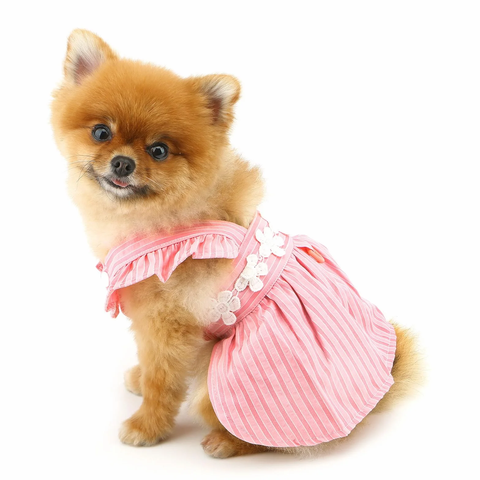 PAIDEFUL Vestito Elegante per Cane Piccolo - Design Estivo a Righe con Ricamo di Fiori, Cinturino, Bottoni - Abbigliamento Fresco da Principessa per Animali Domestici, Costume da Chihuahua