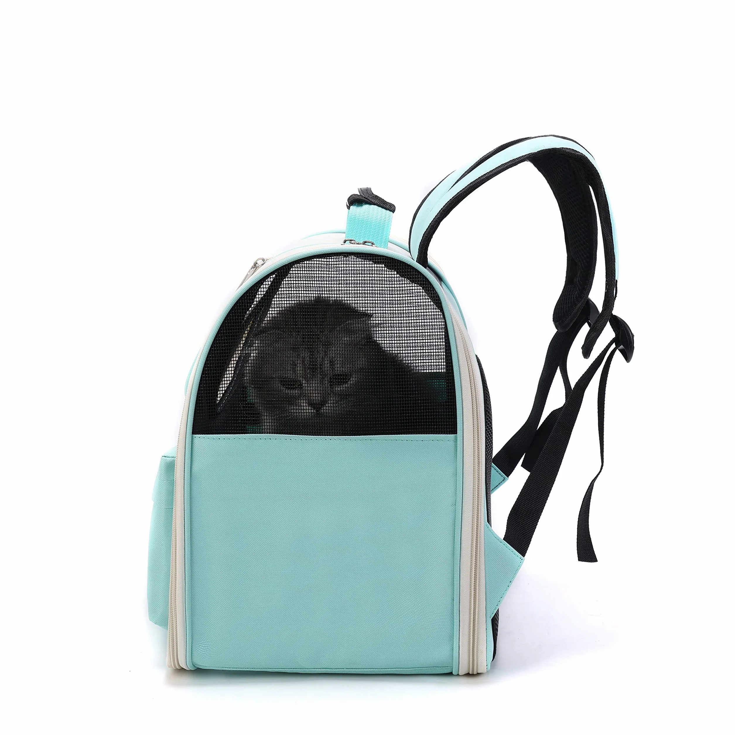 Pet Carino Pieghevole Capsula Zaino per Le Piccole Medie Gatto Cucciolo di Cane, Trasparente E Traspirante Resistente al Calore Carrier per I Viaggi di Campeggio D'escursione (Blu)