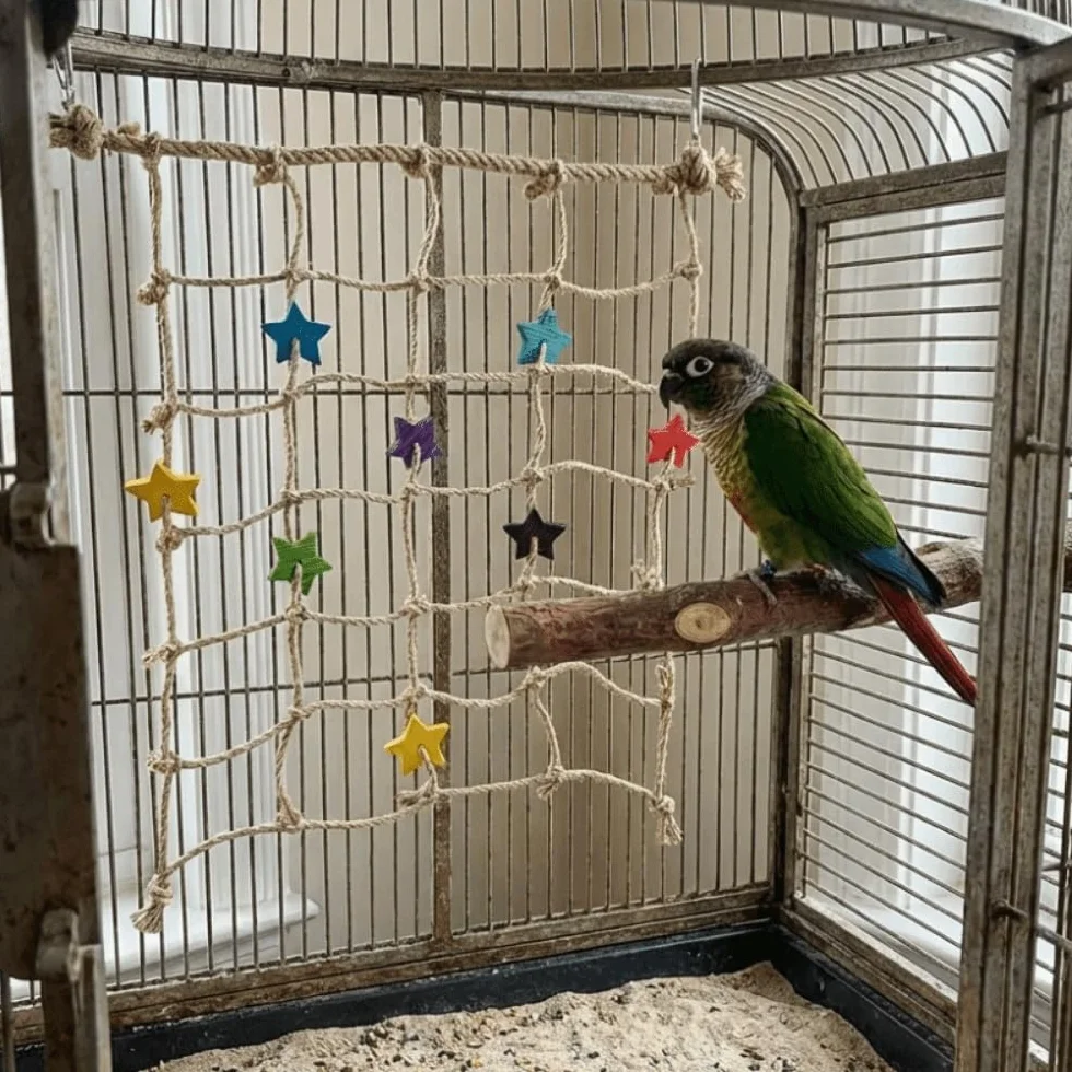 Rete da arrampicata per pappagalli con gancio, scala in corda per gabbia piccoli animali