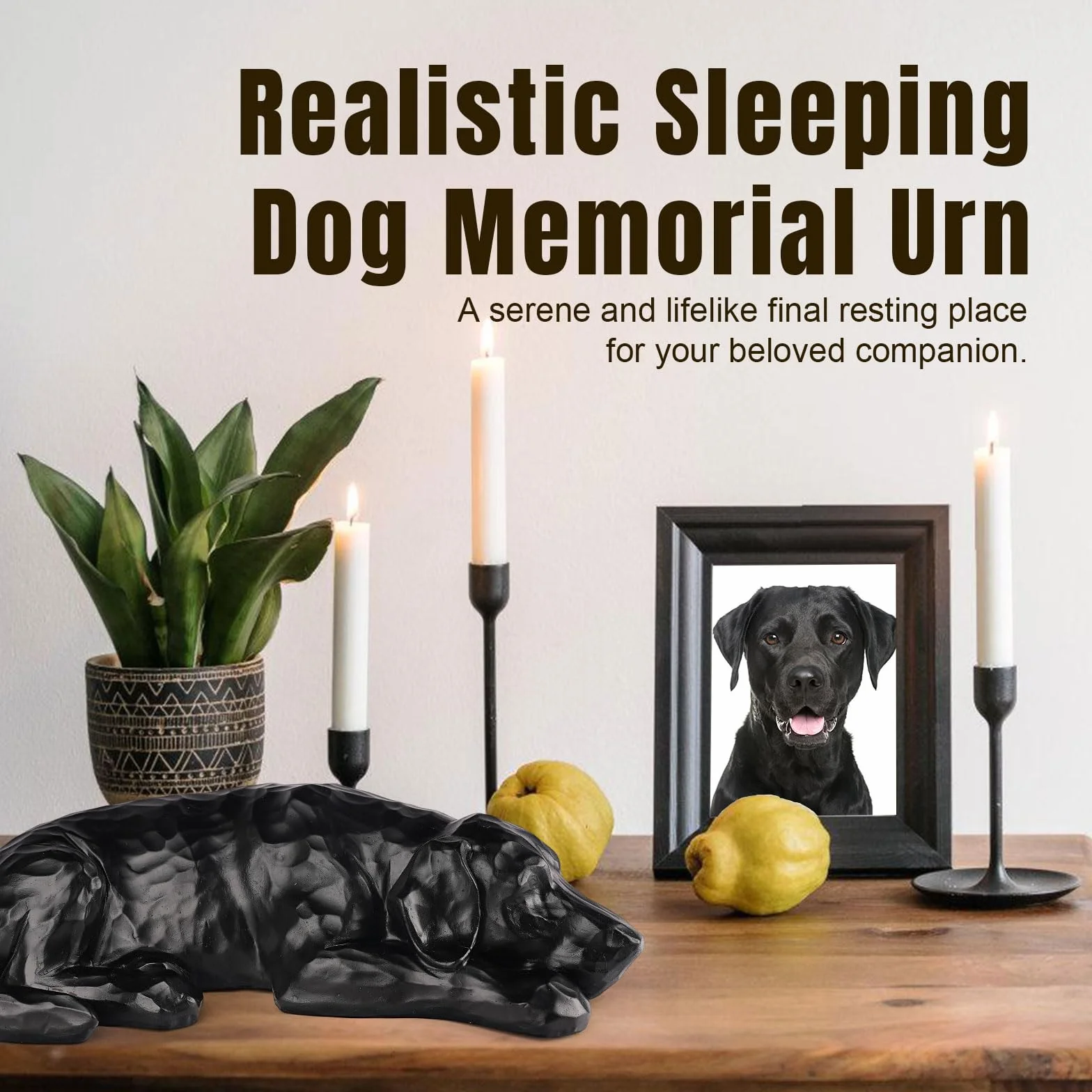 Regalo commemorativo per cani - Urna per ceneri in resina scolpita, regalo di simpatia per la perdita di un cane, ricordo commemorativo per animali domestici (Nero)