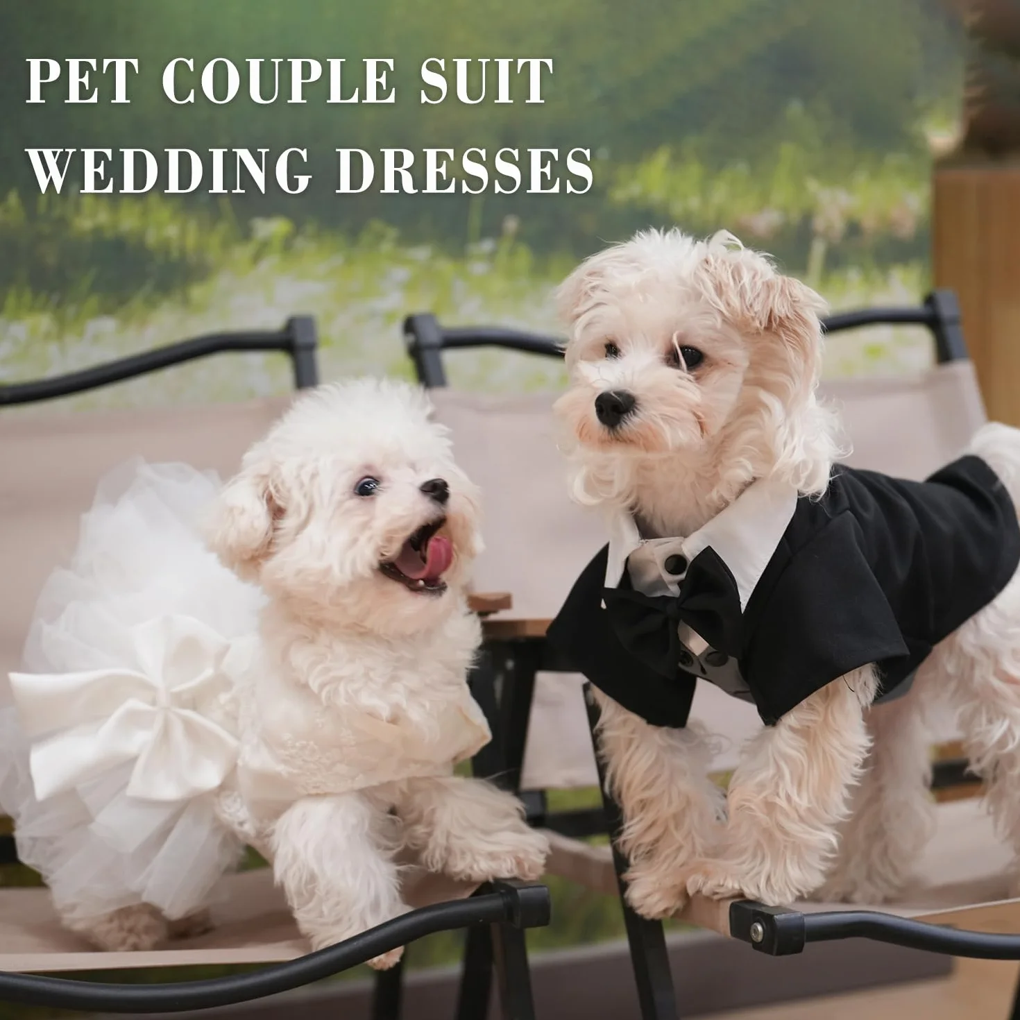 Vestito Bianco per Cani con Tutù in Pizzo Ricamato, Abito da Sposa Gonna da Principessa per Cuccioli Taglia Piccola Media 3XL