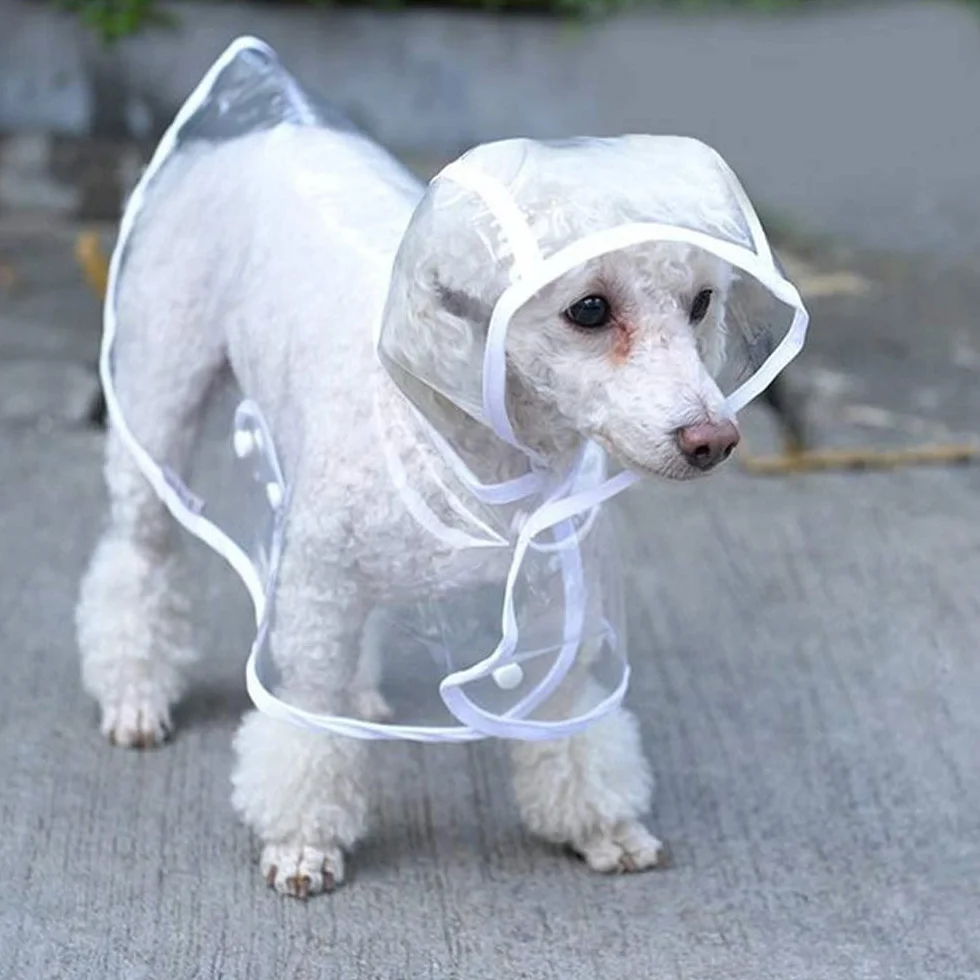 Cappottino catarifrangente per Cani Gatto con cappuccio, Regolabile PVC trasparente poncho impermeabile ultraleggero, Per cani di piccola taglia（bianca, L）