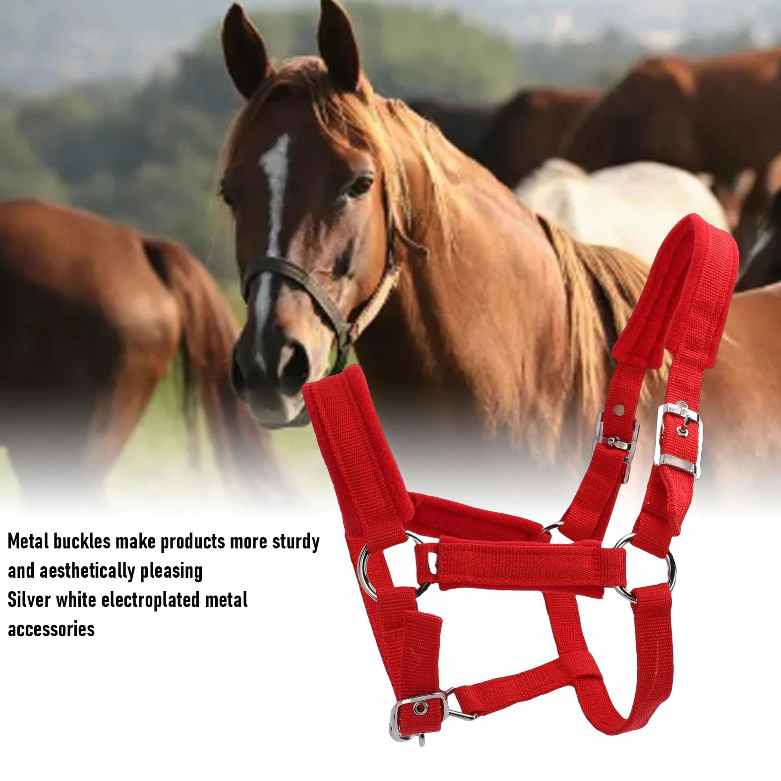 Cavezze per cavallo regolabili in nylon morbido e resistente, rosse, capezzale da equitazione con cinturino in nylon PP largo 25 mm con fibbia in metallo per cavallo medio, per