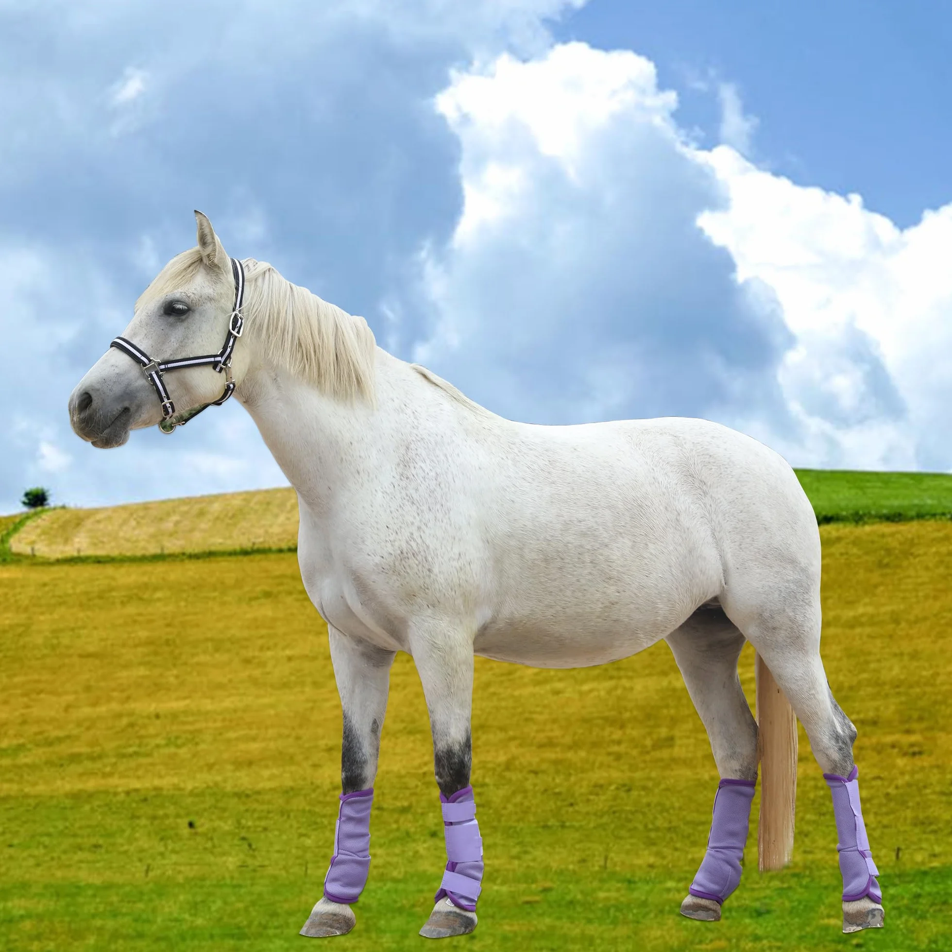 Stinchiere Cavallo Equitazione, Ghette Antimosche Traspiranti per Cavalli a Maglia fine, con Funzioni Protettive e di Sostegno, Protezione dai UV