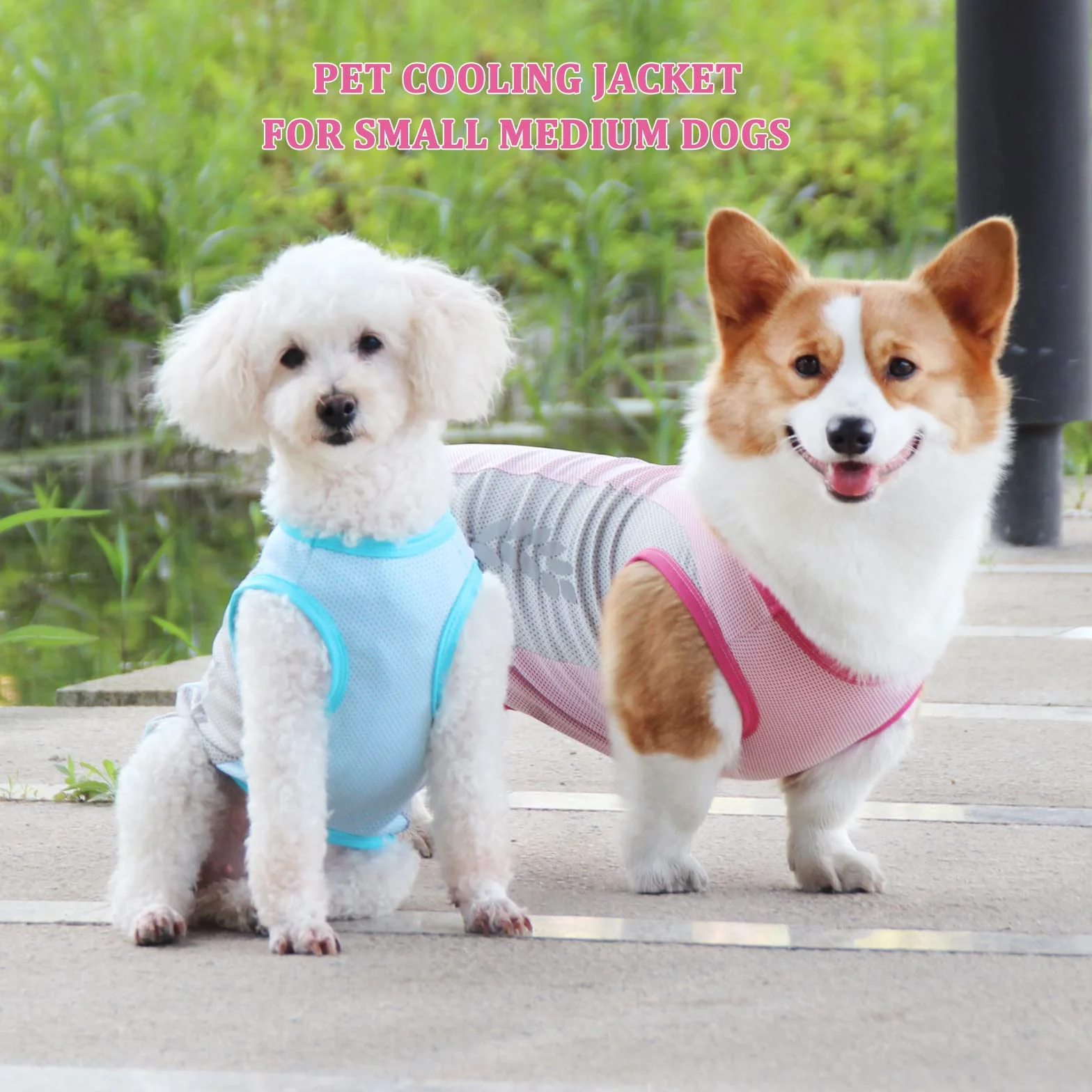 Gilet di Raffreddamento per Cani Leggeri, Protezione UV Cappotto con Striscia Riflettente