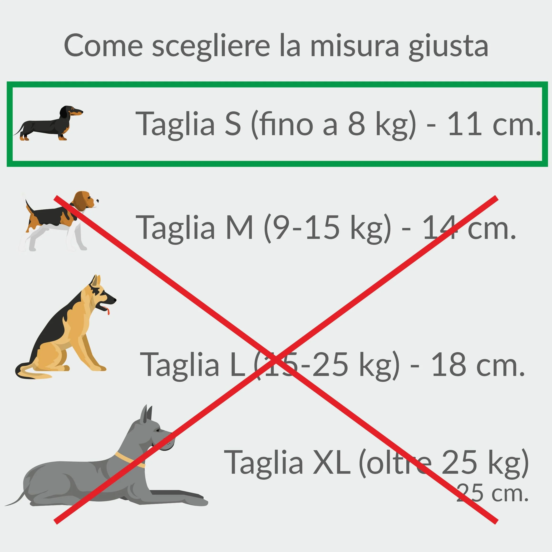Bastone di olivo per cani da masticare in Legno Small 3 pz