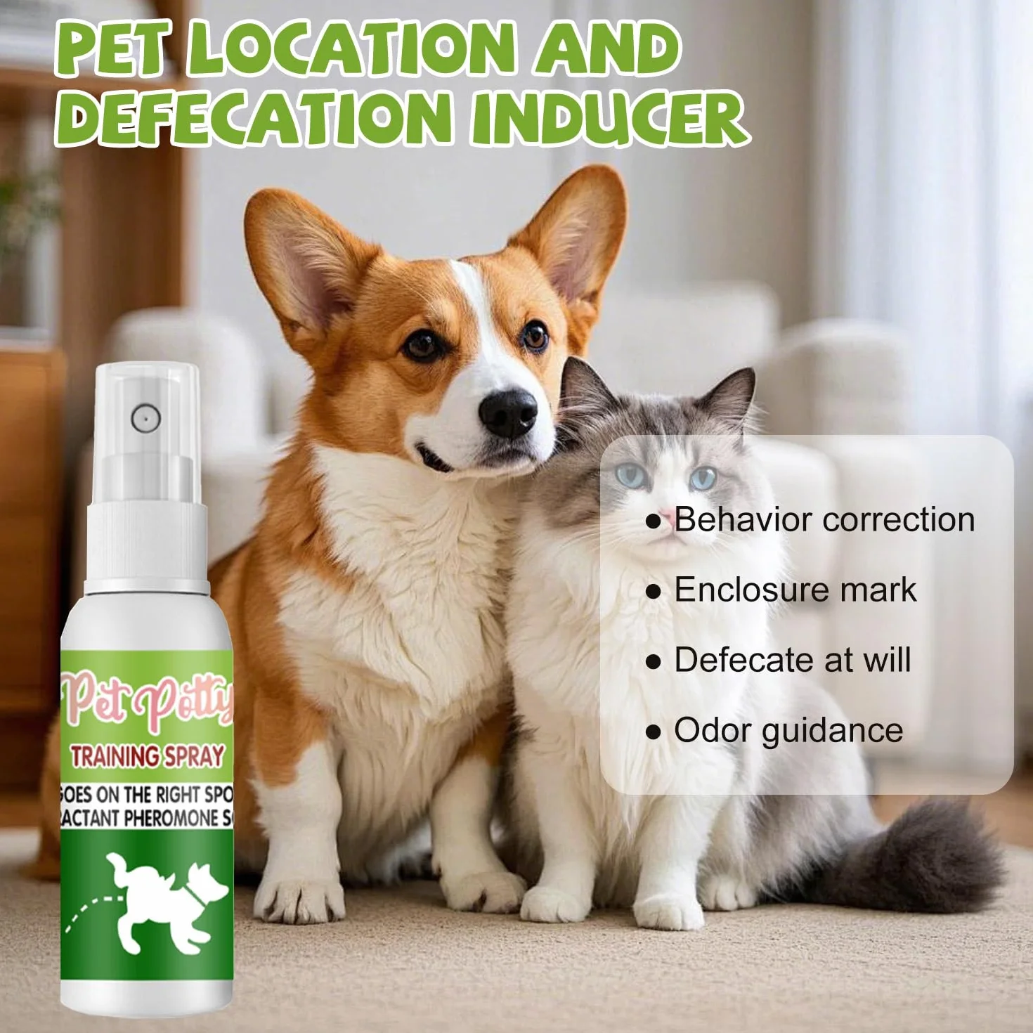 Spray Fai La Pipì Qui per Cani, Spray per Addestramento Vasino per Animali Domestici, 30 ml Attrattivo per pipì per animali domestici, Attraente, Strumenti Addestramento, Protezione Casa Mobili
