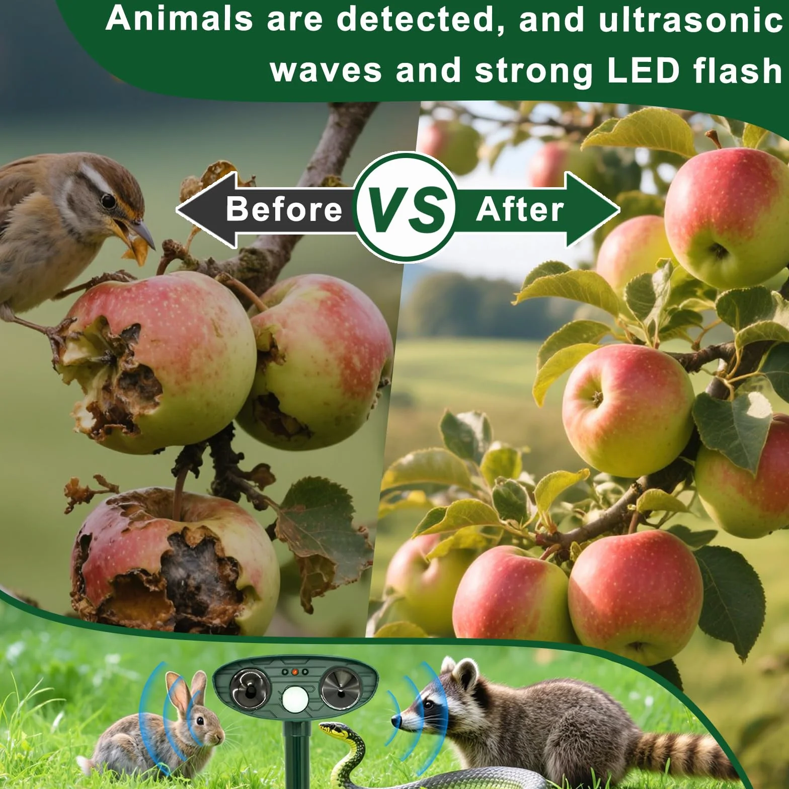Repellente Gatti Garden, Repellente Topi Impermeabile, Dissuasore Gatti Ultrasuoni, Repellente Solare Topi, Ultrasuoni Repellente Gatti Solare, Respinge Efficacemente Gatti, Topi e Parassiti