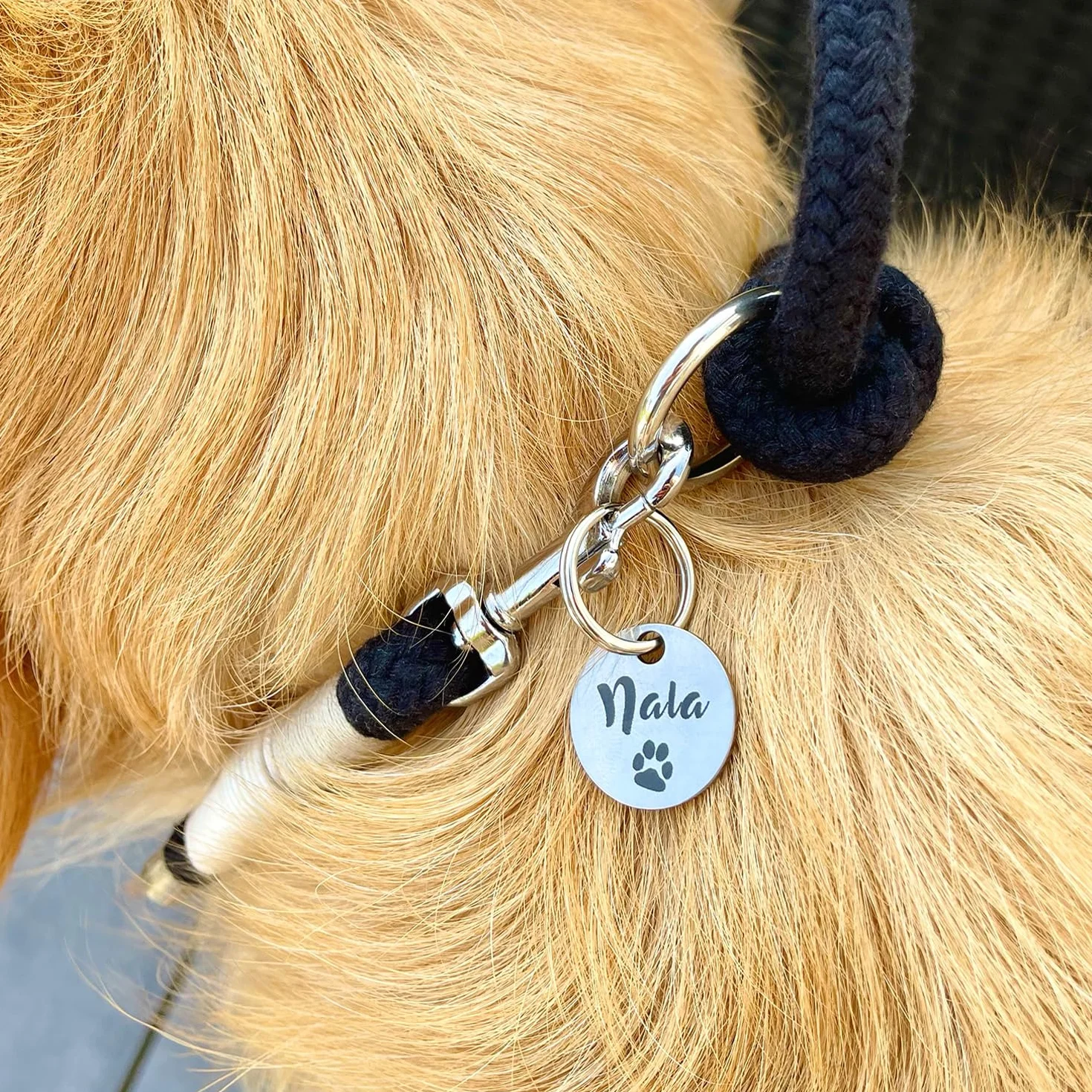 Medaglietta personalizzata per cani in acciaio inossidabile con incisione - targhetta per collare, ciondolo per cani gatti cavalli, argento