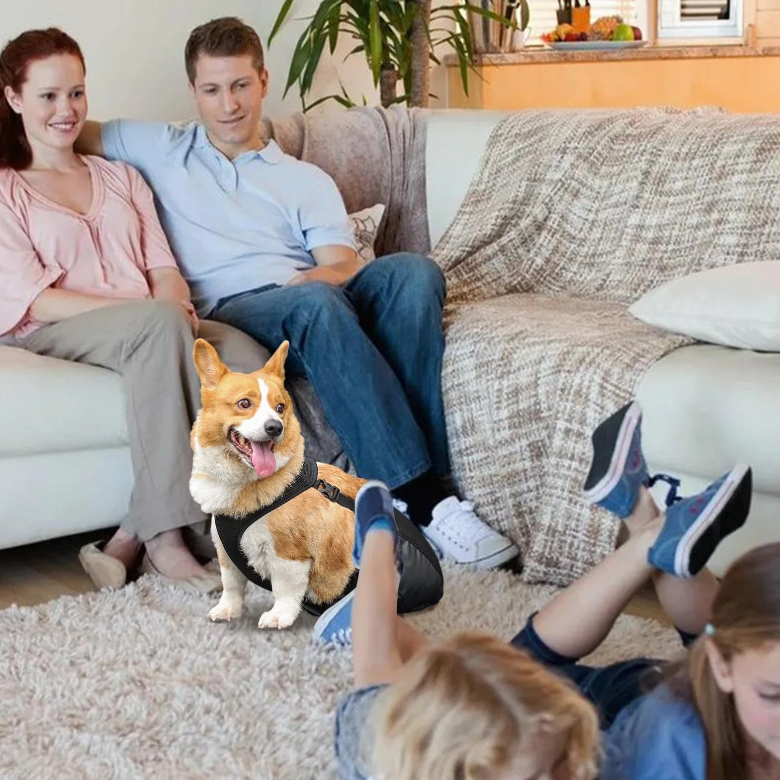 Borsa per Cani, Borsa per Recupero Alternativo della Sedia a rotelle, per Gambe Posteriori e Posteriori, Traspirante, Regolabile, Protettiva, per Proprietari di Animali Domestici, Cani feriti
