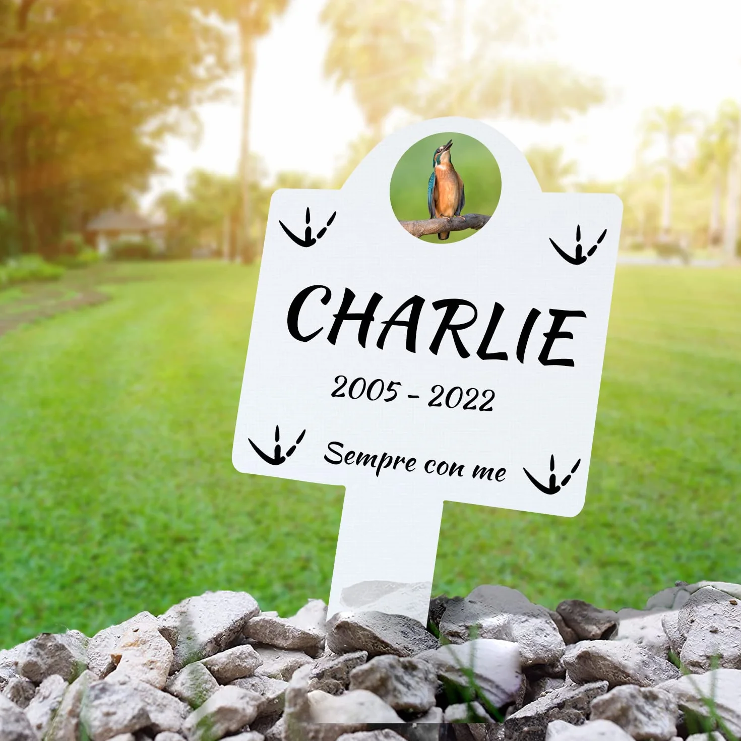 Targhetta commemorativa da Giardino per Animali Domestici Impermeabile 25x12 cm Argento